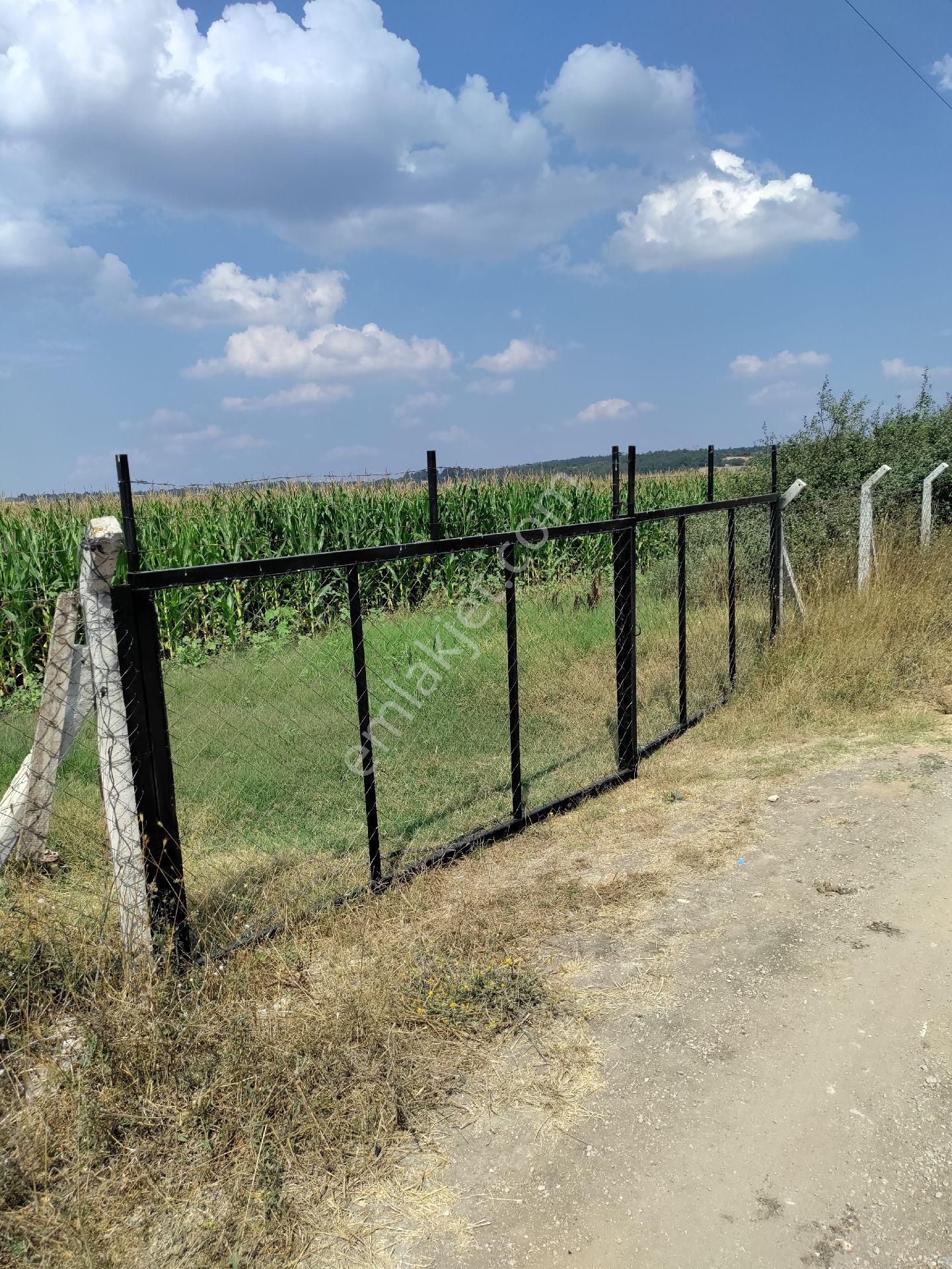 Eski Balıkesir Edremit Yoluna Cepheli Kiralık Tarla - Görsel 3