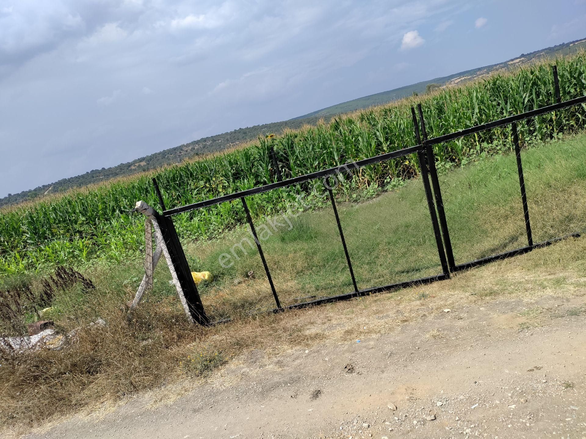 Eski Balıkesir Edremit Yoluna Cepheli Kiralık Tarla