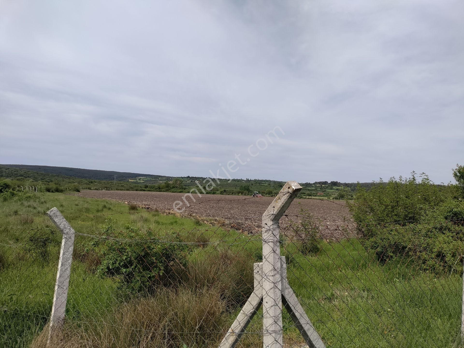 Eski Balıkesir Edremit Yoluna Cepheli Kiralık Tarla - Görsel 34