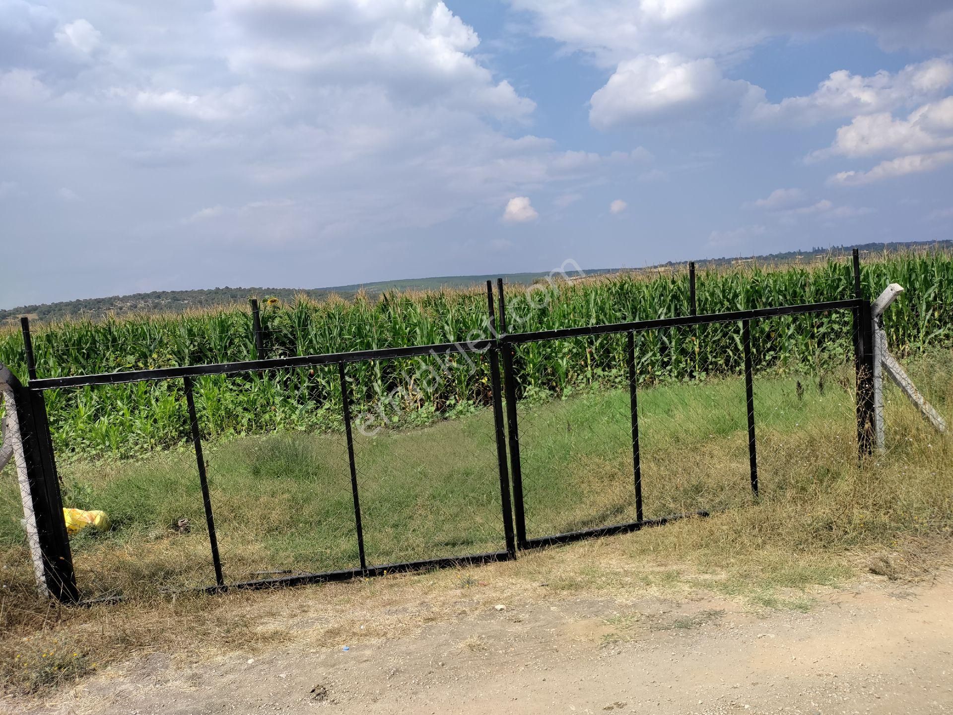 Eski Balıkesir Edremit Yoluna Cepheli Kiralık Tarla - Görsel 2