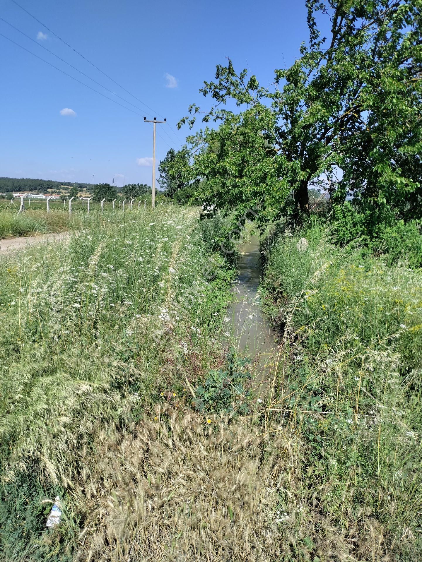 Eski Balıkesir Edremit Yoluna Cepheli Kiralık Tarla - Görsel 28