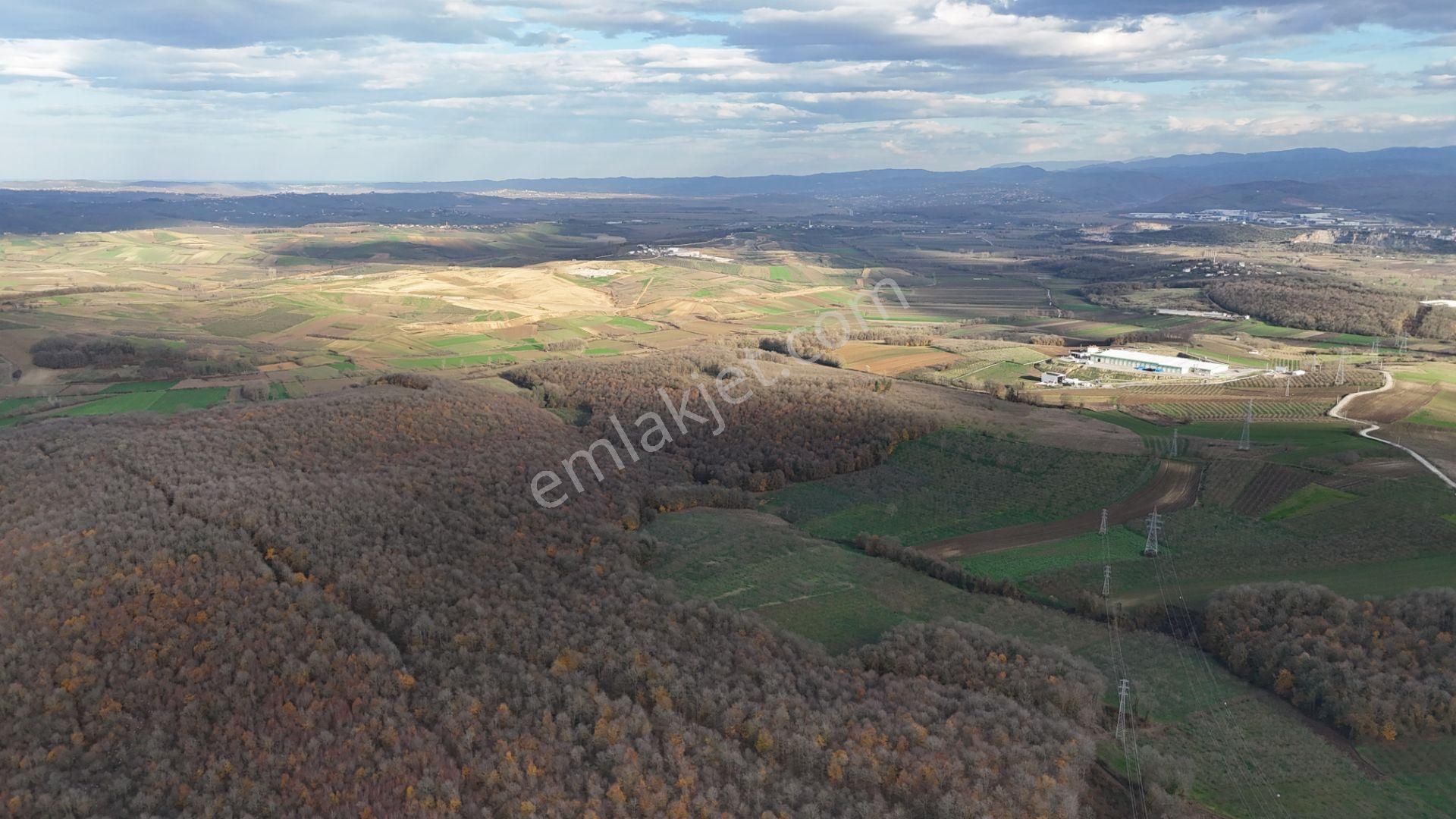 Fırsat!. Söğütlü Sıraköy'de 1900 M2 Asfalta Yola 104 Mt Cepheli - Görsel 7