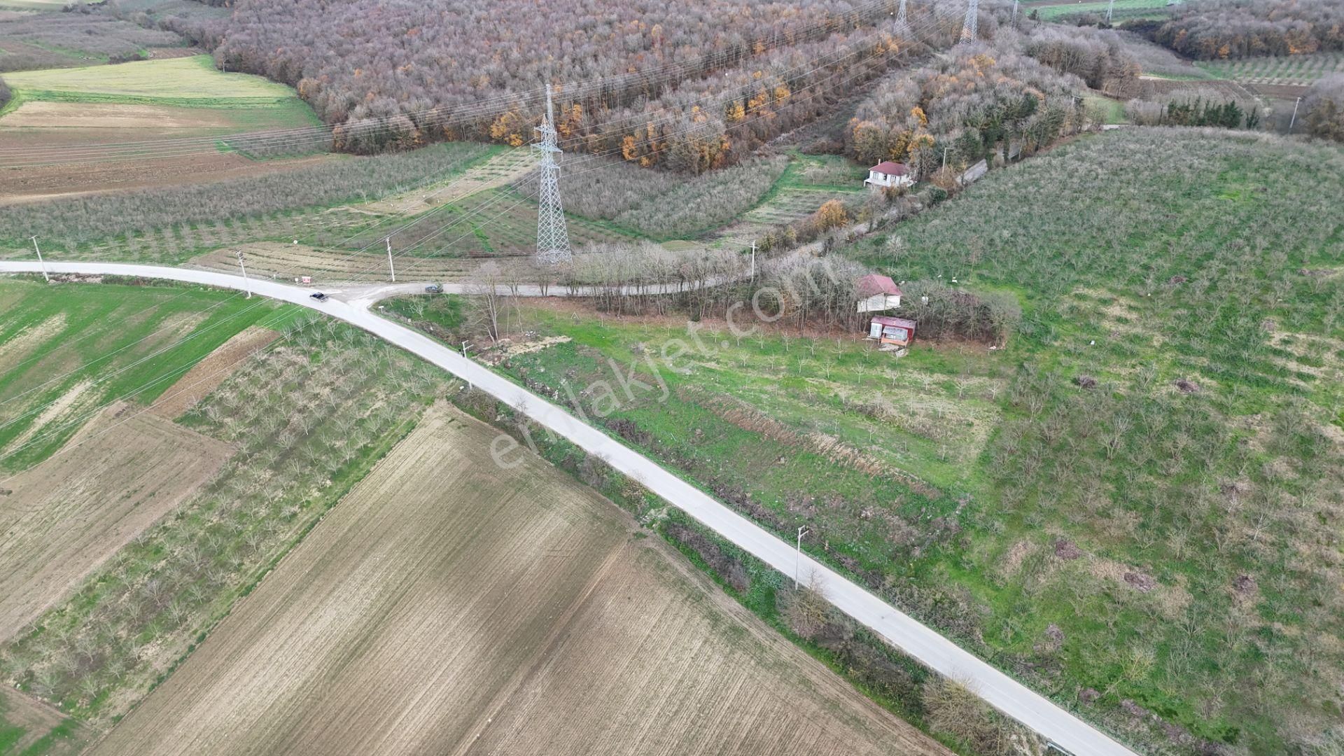 Fırsat!. Söğütlü Sıraköy'de 1900 M2 Asfalta Yola 104 Mt Cepheli - Görsel 5