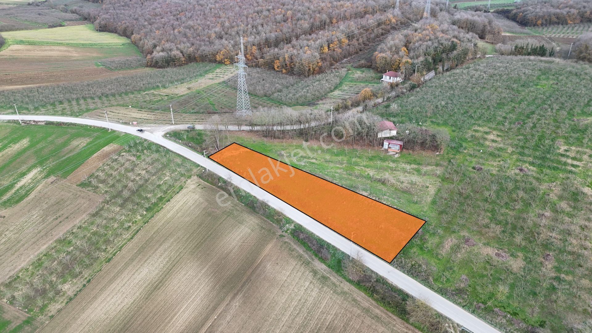 Fırsat!. Söğütlü Sıraköy'de 1900 M2 Asfalta Yola 104 Mt Cepheli - Görsel 2