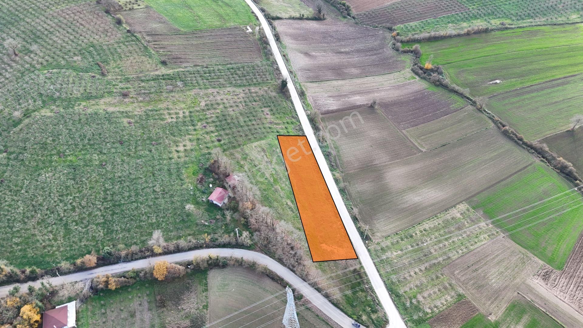 Fırsat!. Söğütlü Sıraköy'de 1900 M2 Asfalta Yola 104 Mt Cepheli - Görsel 9