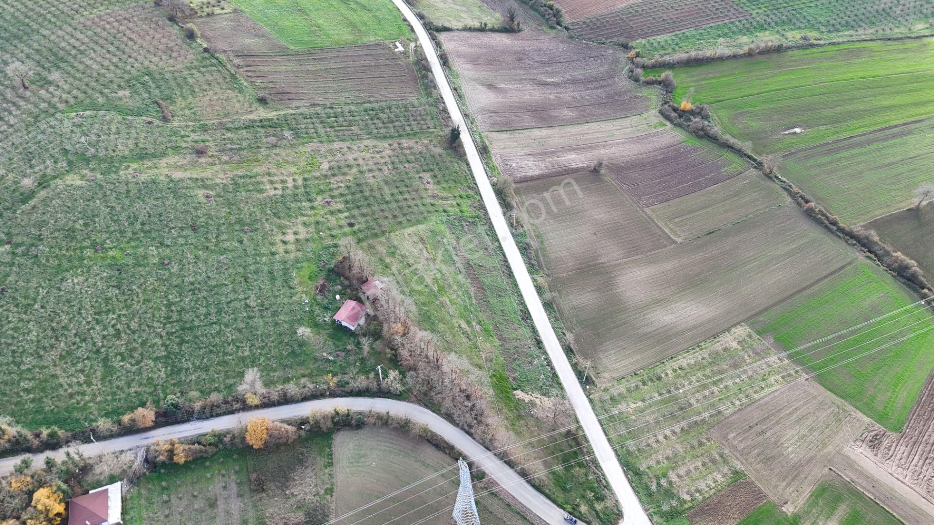 Fırsat!. Söğütlü Sıraköy'de 1900 M2 Asfalta Yola 104 Mt Cepheli - Görsel 8