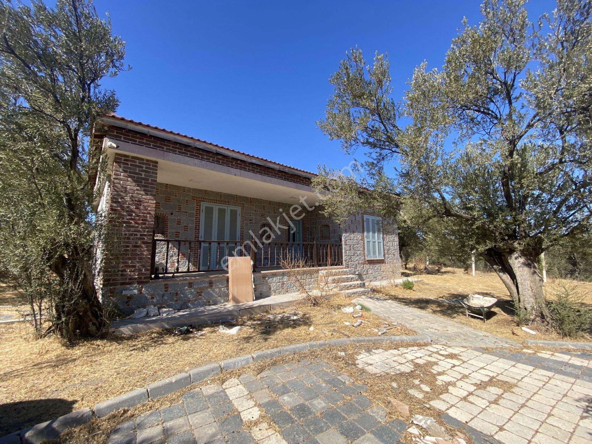 Balıkesir Ayvalık Ta Satılık Ciftlikevi. - Görsel 13