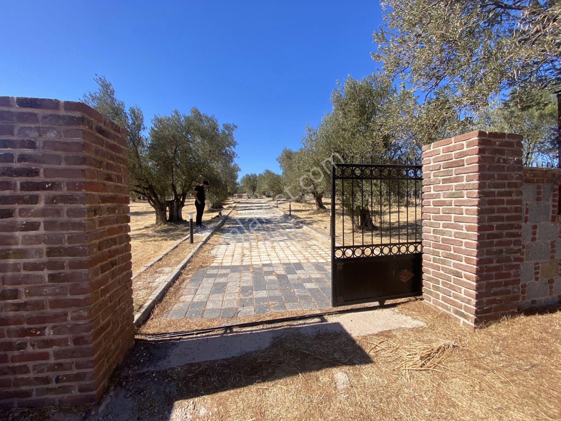 Balıkesir Ayvalık Ta Satılık Ciftlikevi. - Görsel 2