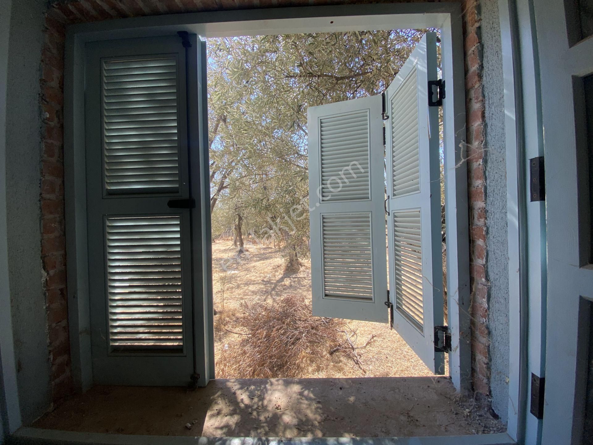 Balıkesir Ayvalık Ta Satılık Ciftlikevi. - Görsel 7