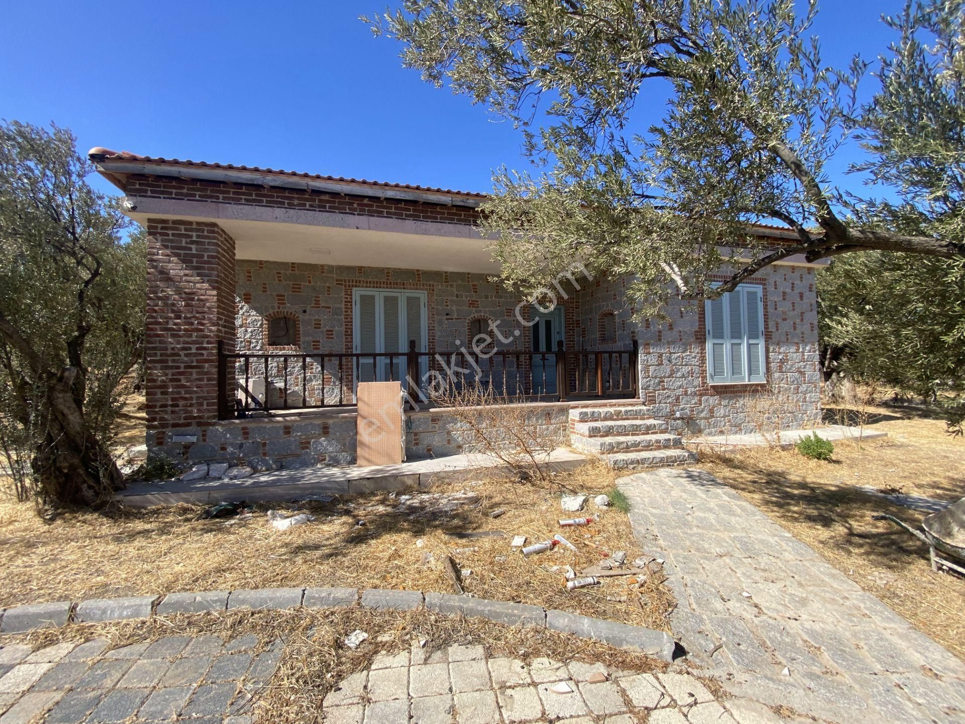 Balıkesir Ayvalık Ta Satılık Ciftlikevi. - Görsel 6