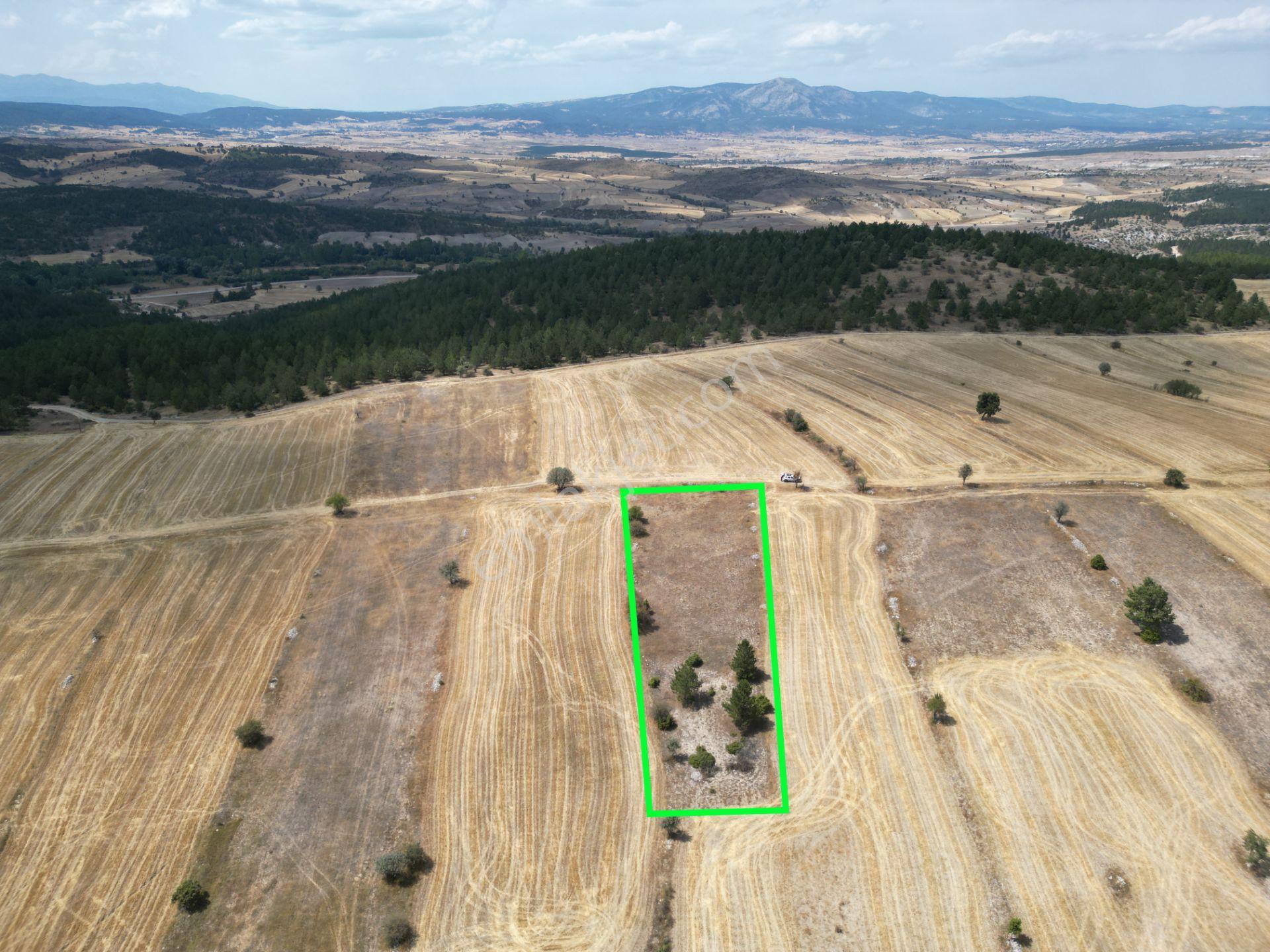 Kütahya Gediz Yağmurlar Köyü 2384 M2 Satılık Yatırımlık Tarla - Görsel 6