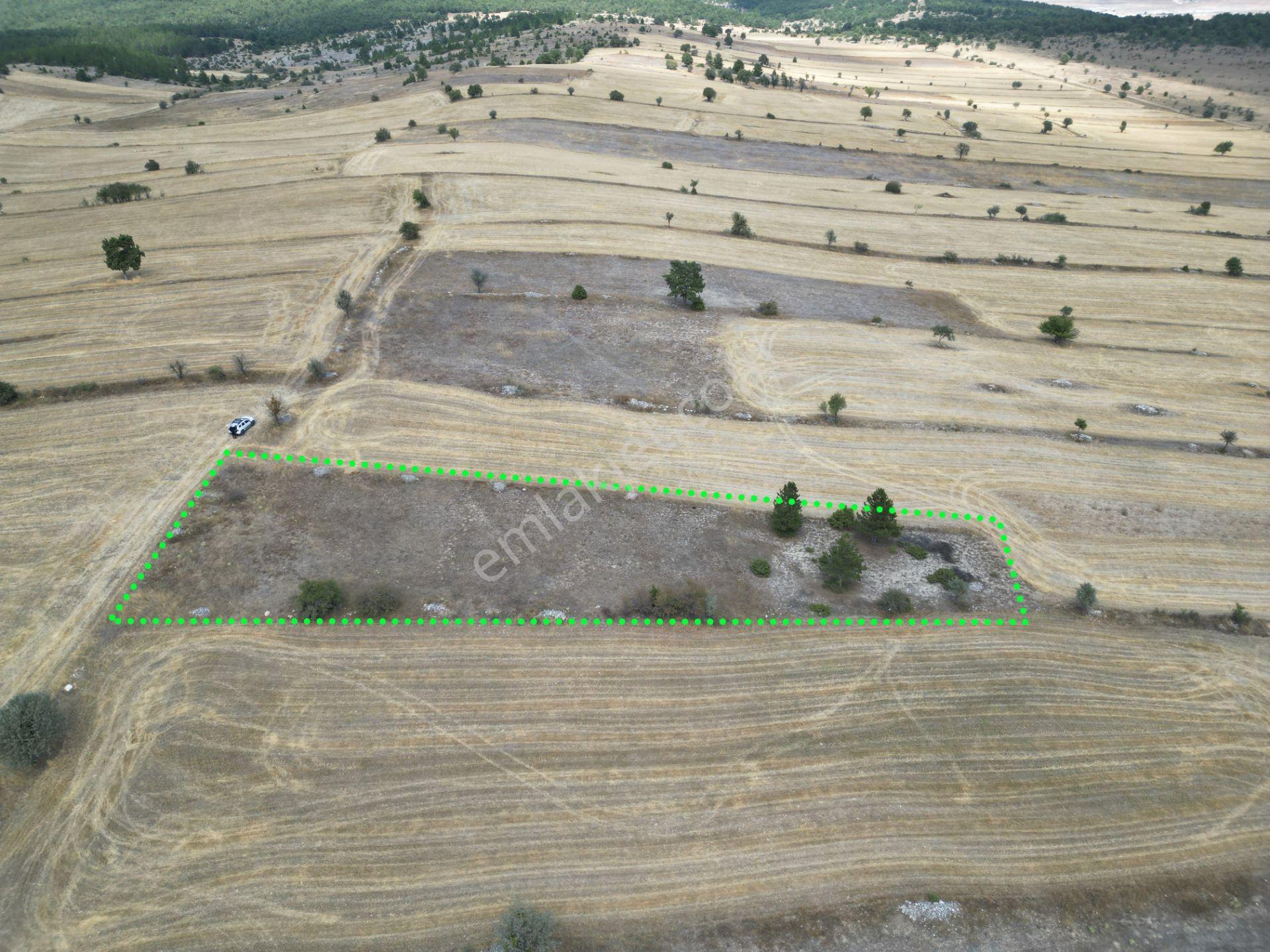 Kütahya Gediz Yağmurlar Köyü 2384 M2 Satılık Yatırımlık Tarla - Görsel 2