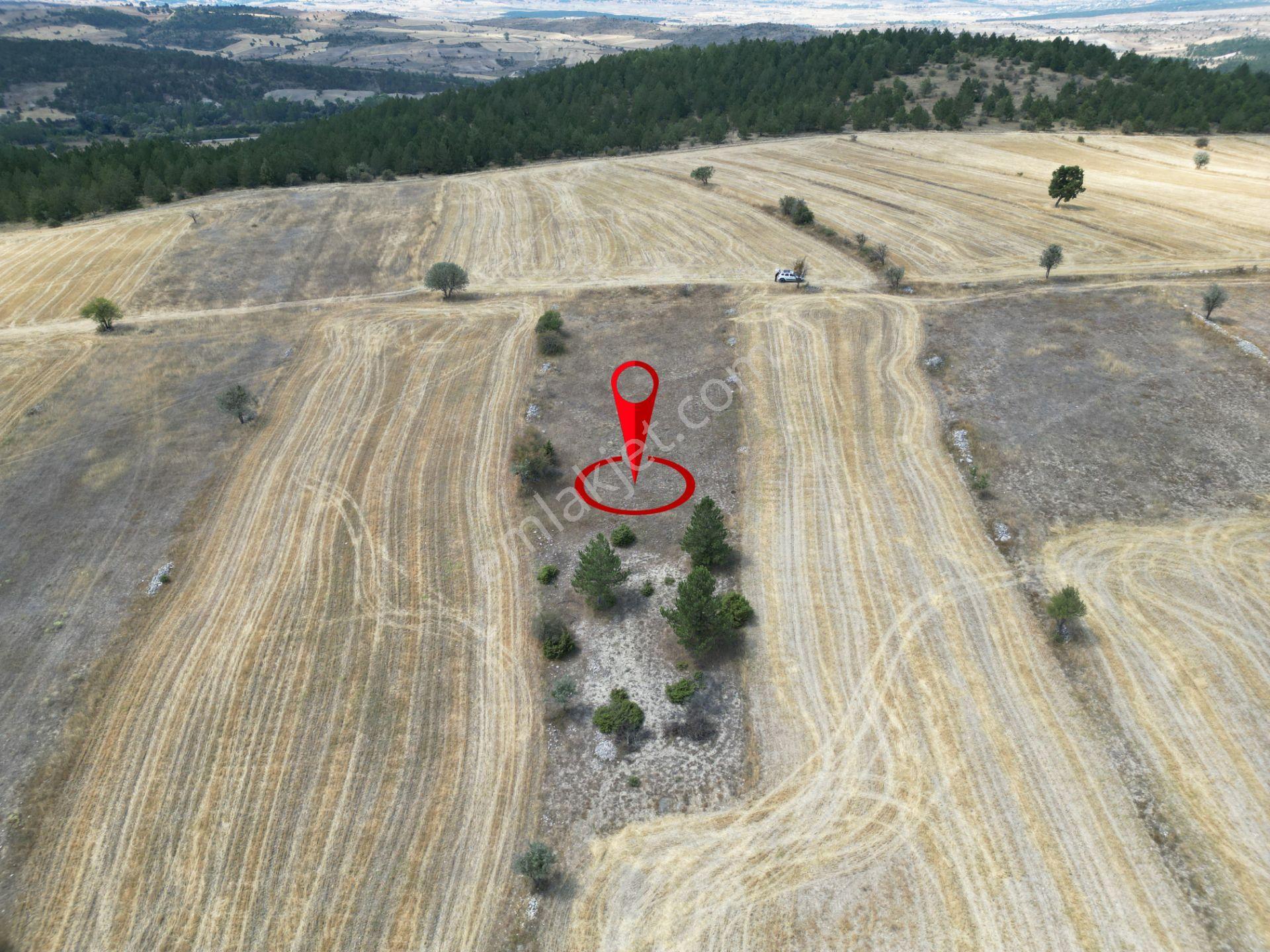 Kütahya Gediz Yağmurlar Köyü 2384 M2 Satılık Yatırımlık Tarla - Görsel 7