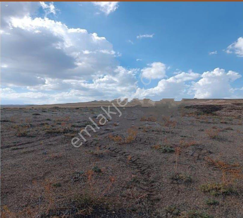 Bm"den Van Erçişte 53.000m2 Yol Kenarı Düz Tarla - Görsel 2