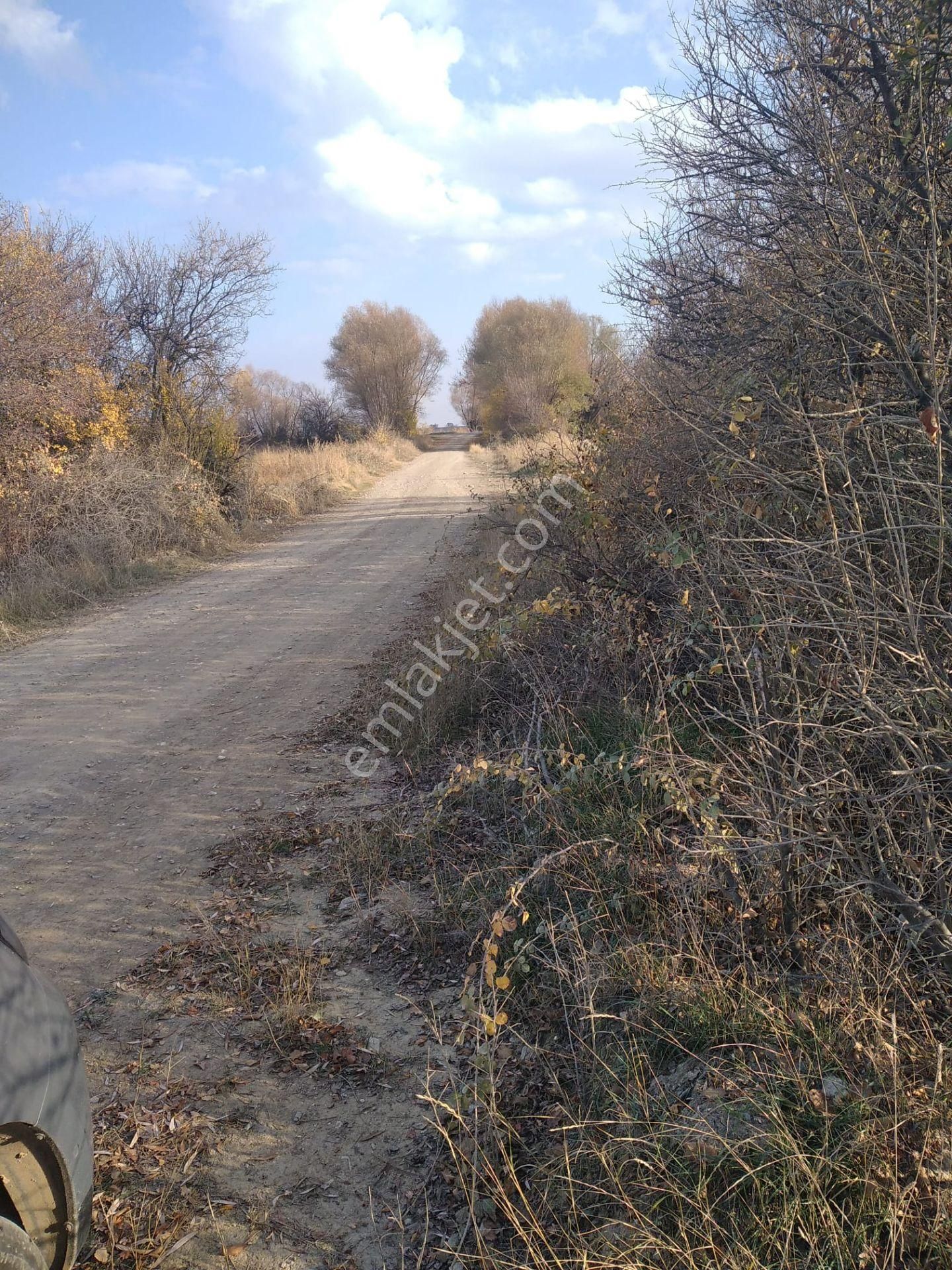 Sücüllü Emlaktan Bozlogan Koyünde Satılık Hobi Bahçesi - Görsel 4