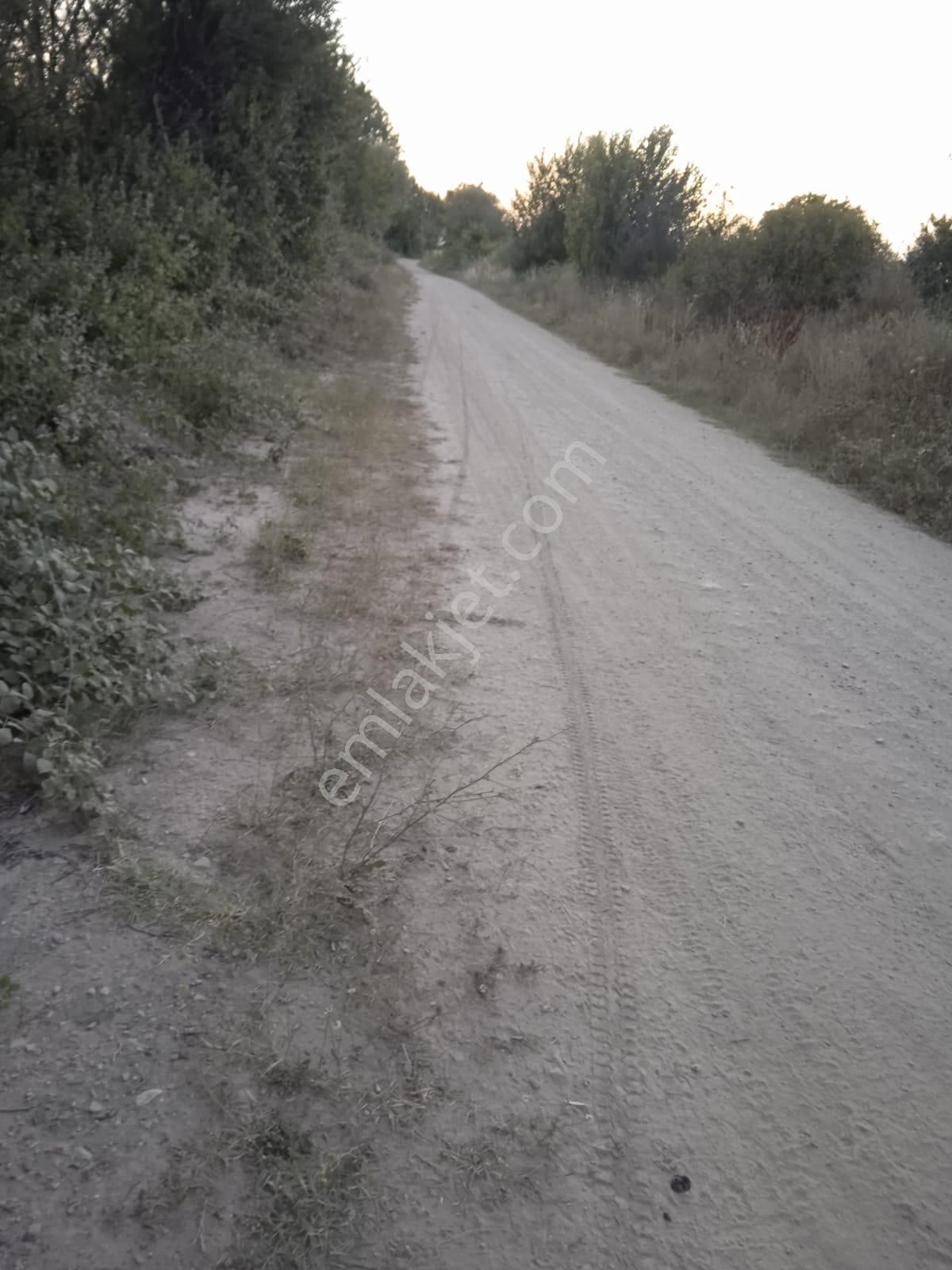 Sücüllü Emlaktan Bozlogan Koyünde Satılık Hobi Bahçesi - Görsel 10