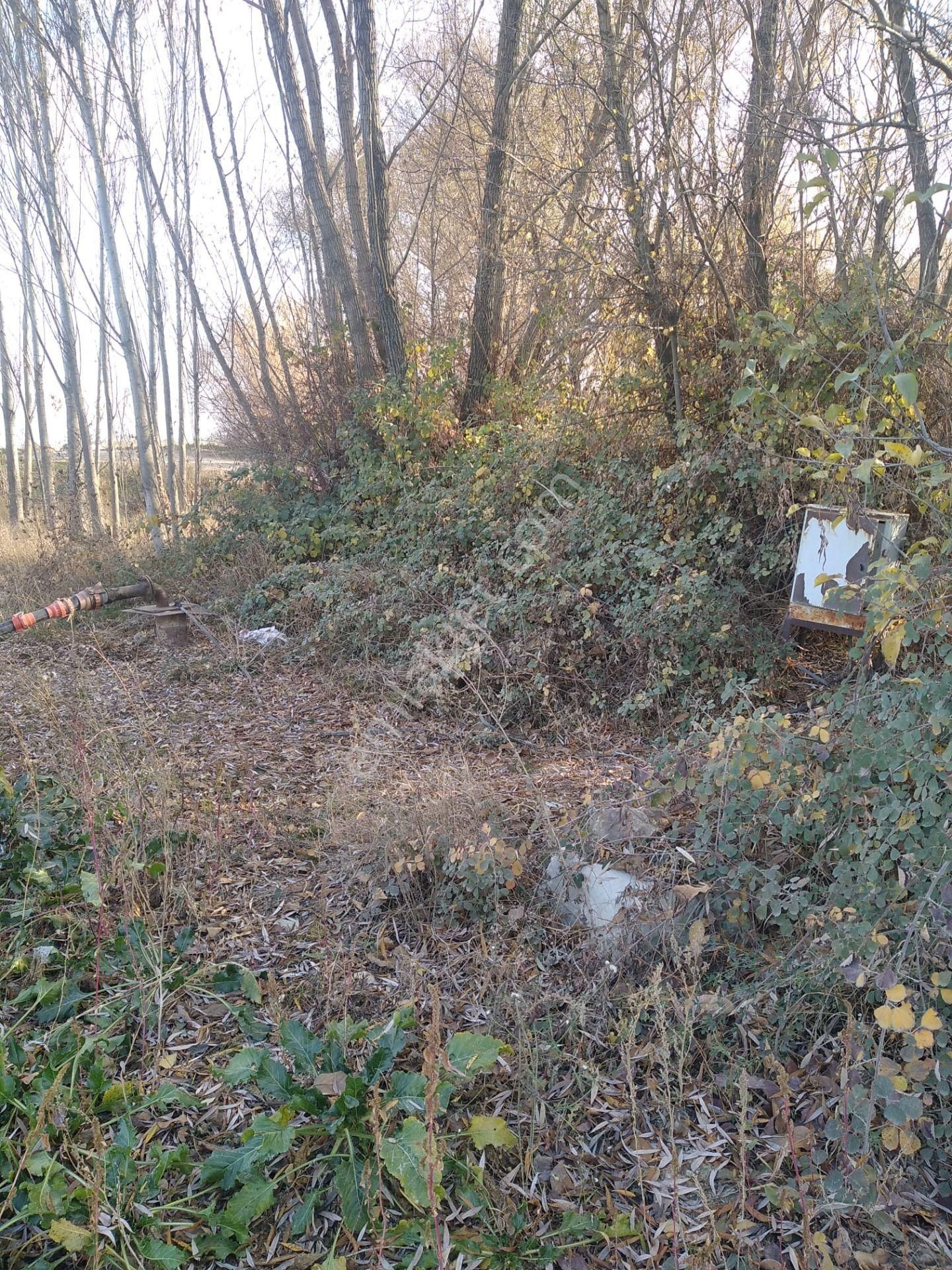 Sücüllü Emlaktan Bozlogan Koyünde Satılık Hobi Bahçesi - Görsel 8