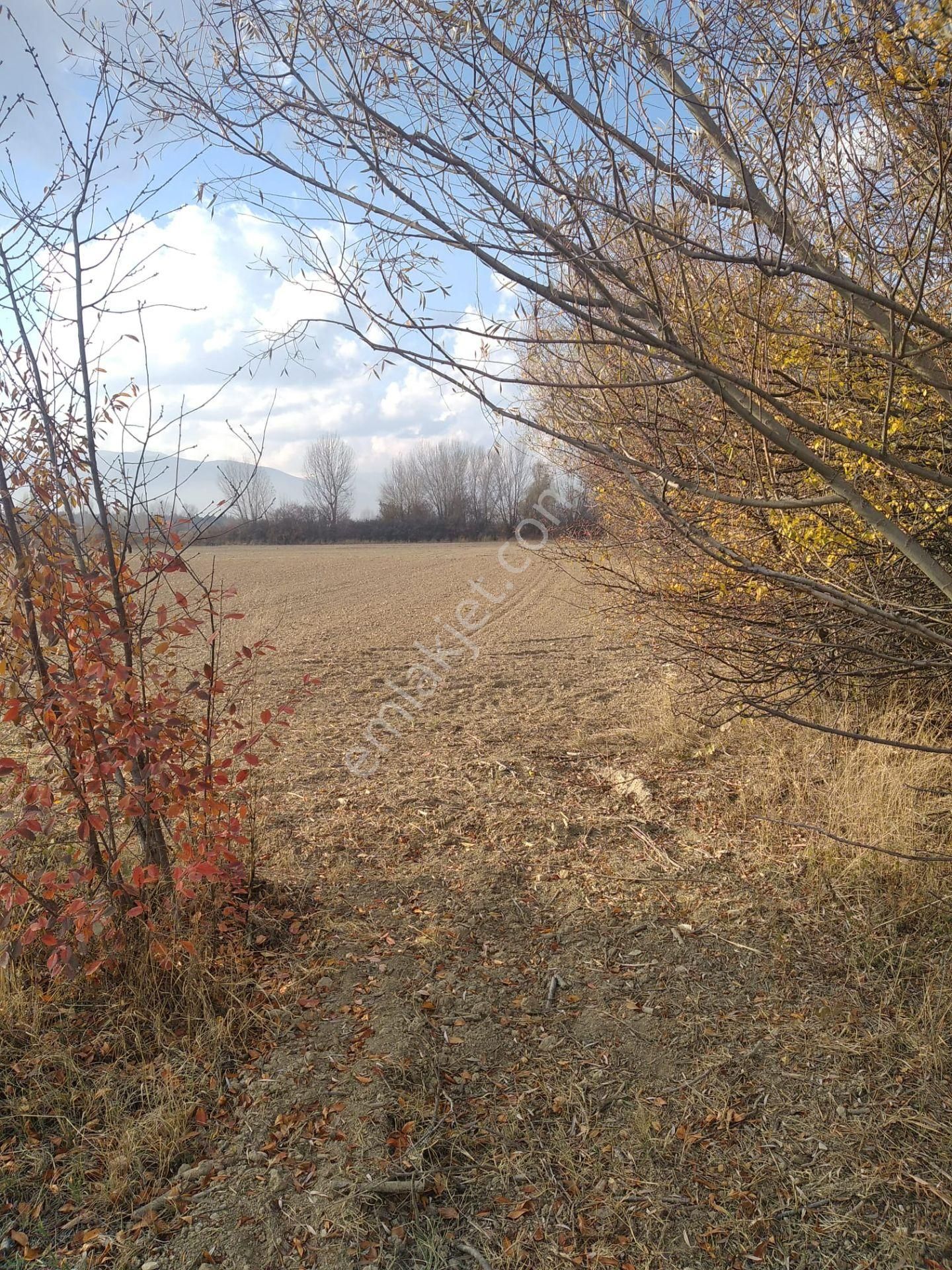 Sücüllü Emlaktan Bozlogan Koyünde Satılık Hobi Bahçesi - Görsel 7