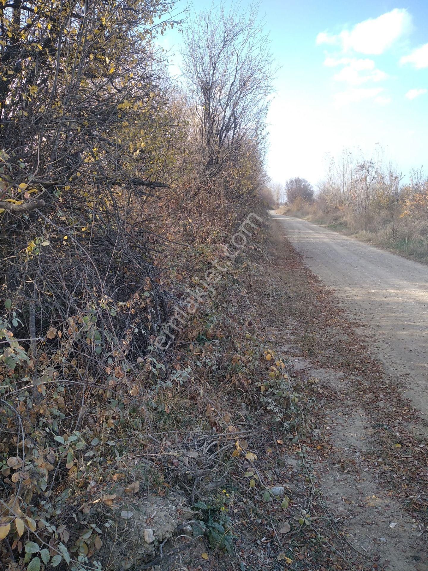 Sücüllü Emlaktan Bozlogan Koyünde Satılık Hobi Bahçesi - Görsel 9