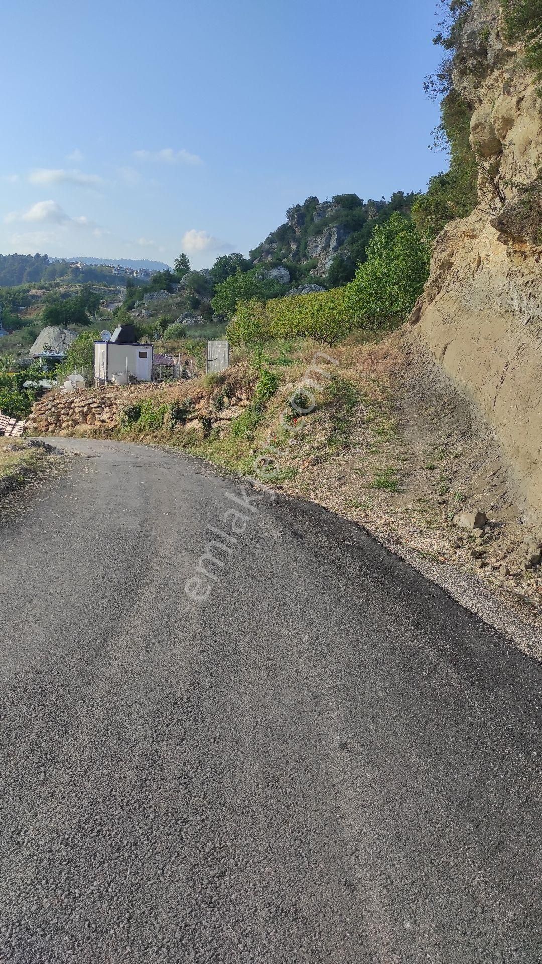 Kepirli Yaylası Bungalov Otel Civarı Doğa Manzaralı Arsa - Görsel 3