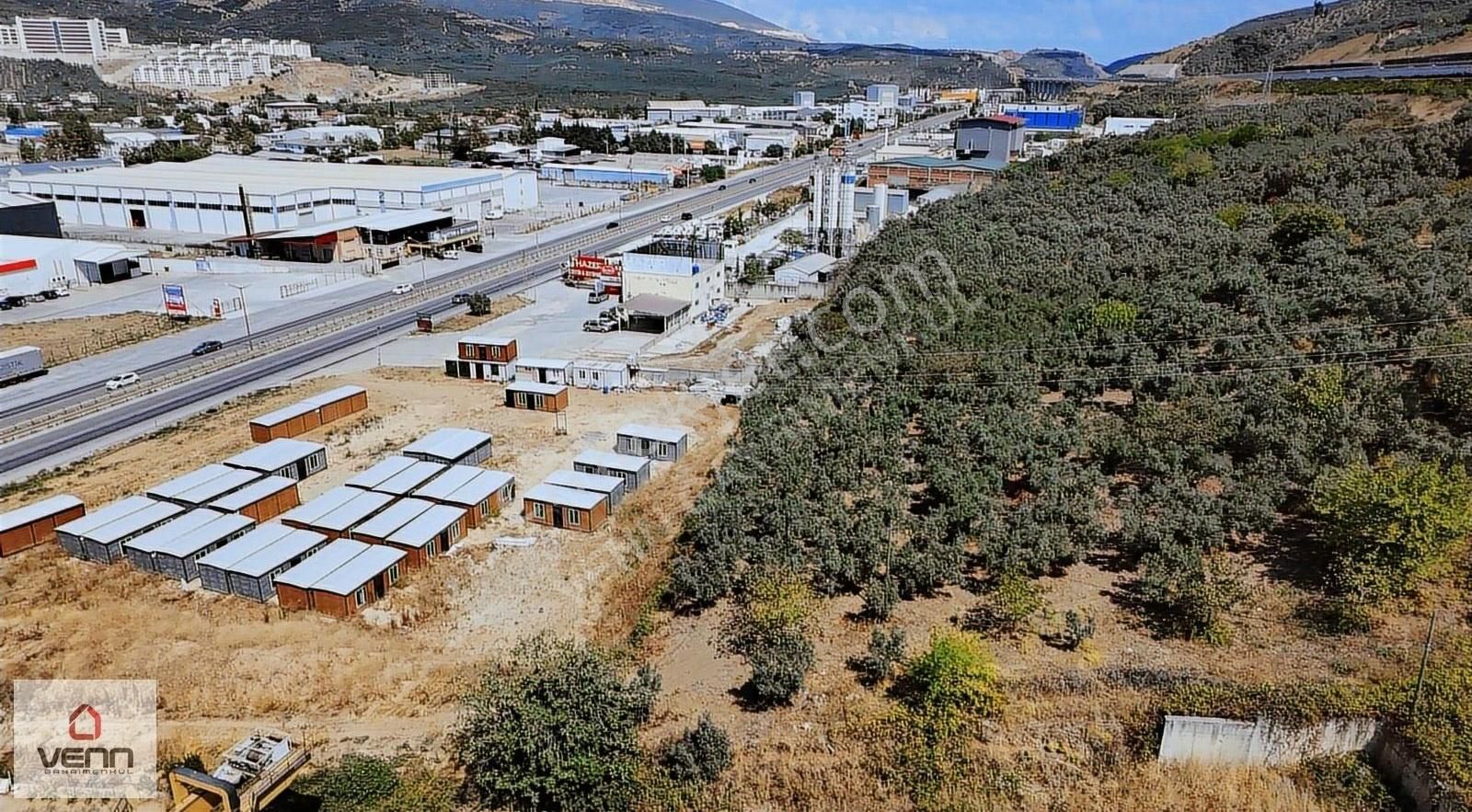 Gemlik Umurbey Ticari İmara Sınır Satılık Zeytinlik - Görsel 10