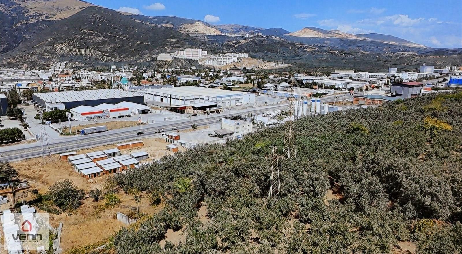Gemlik Umurbey Ticari İmara Sınır Satılık Zeytinlik - Görsel 8