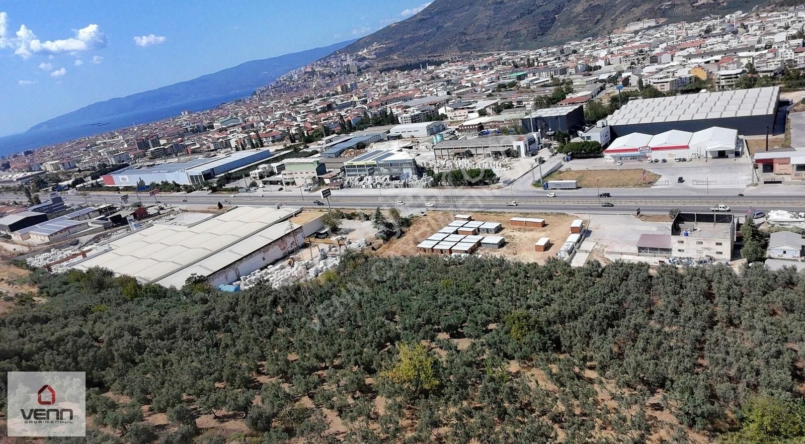 Gemlik Umurbey Ticari İmara Sınır Satılık Zeytinlik - Görsel 13