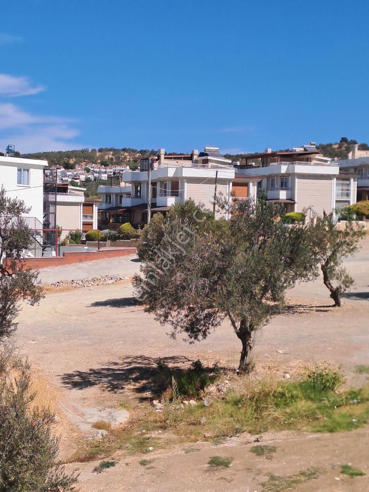 Gömeç Pelitköyde Satılık Trıbleks Villa - Görsel 25
