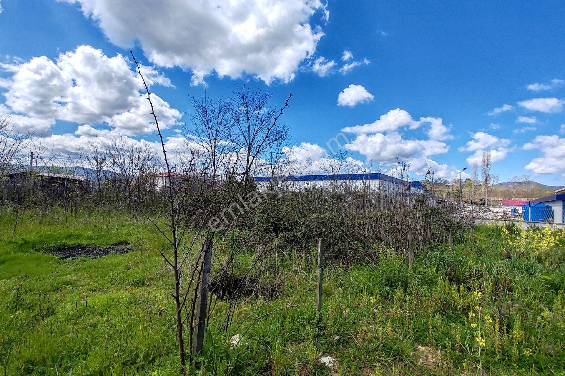 Ordu Perşembe Efirli Mah. 579m² Satılık Arsa - Konut İmarlı - Oremlaktan - Görsel 7