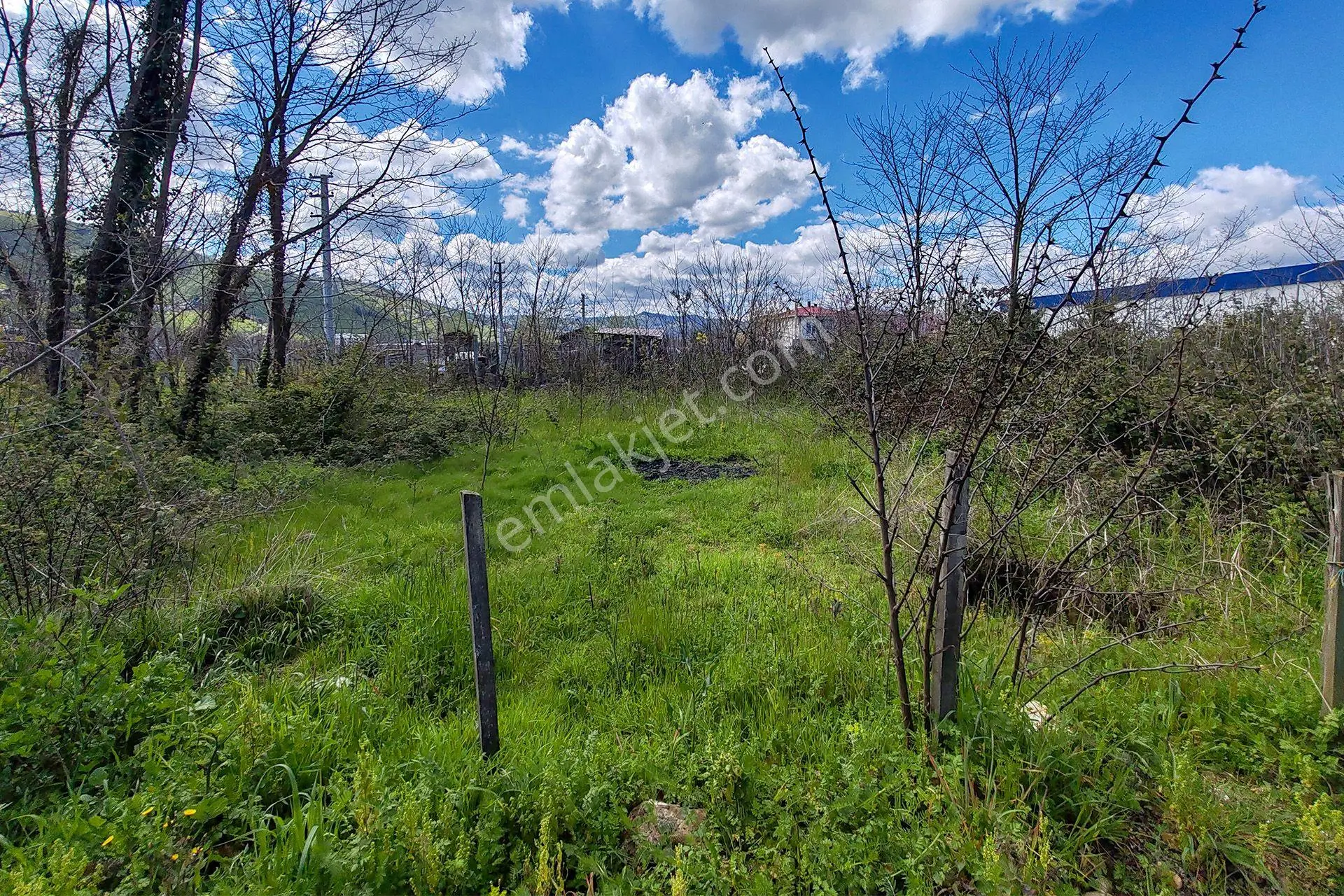 Ordu Perşembe Efirli Mah. 579m² Satılık Arsa - Konut İmarlı - Oremlaktan - Görsel 5