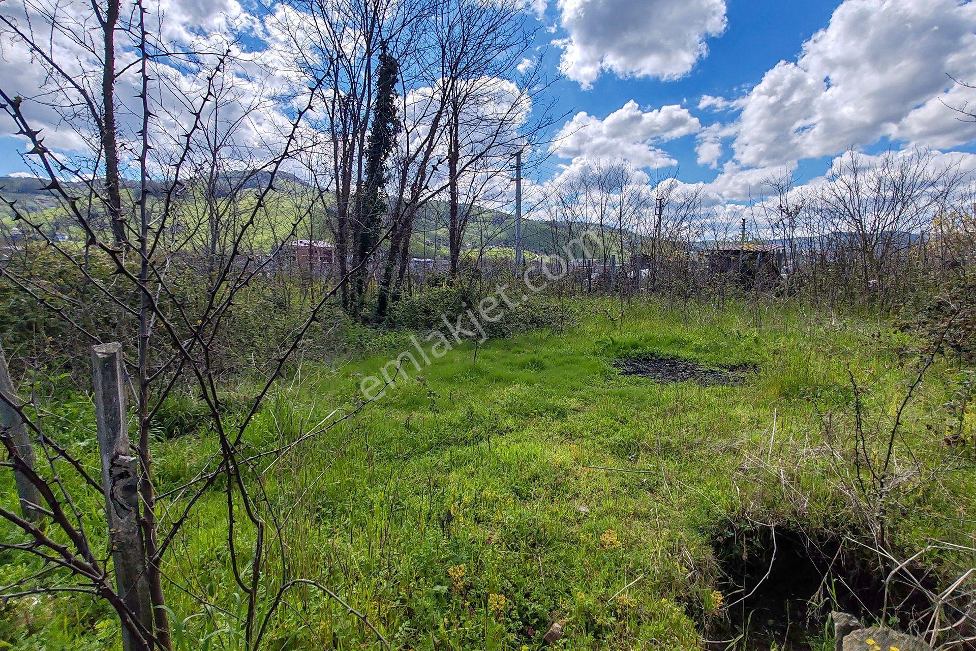 Ordu Perşembe Efirli Mah. 579m² Satılık Arsa - Konut İmarlı - Oremlaktan - Görsel 10