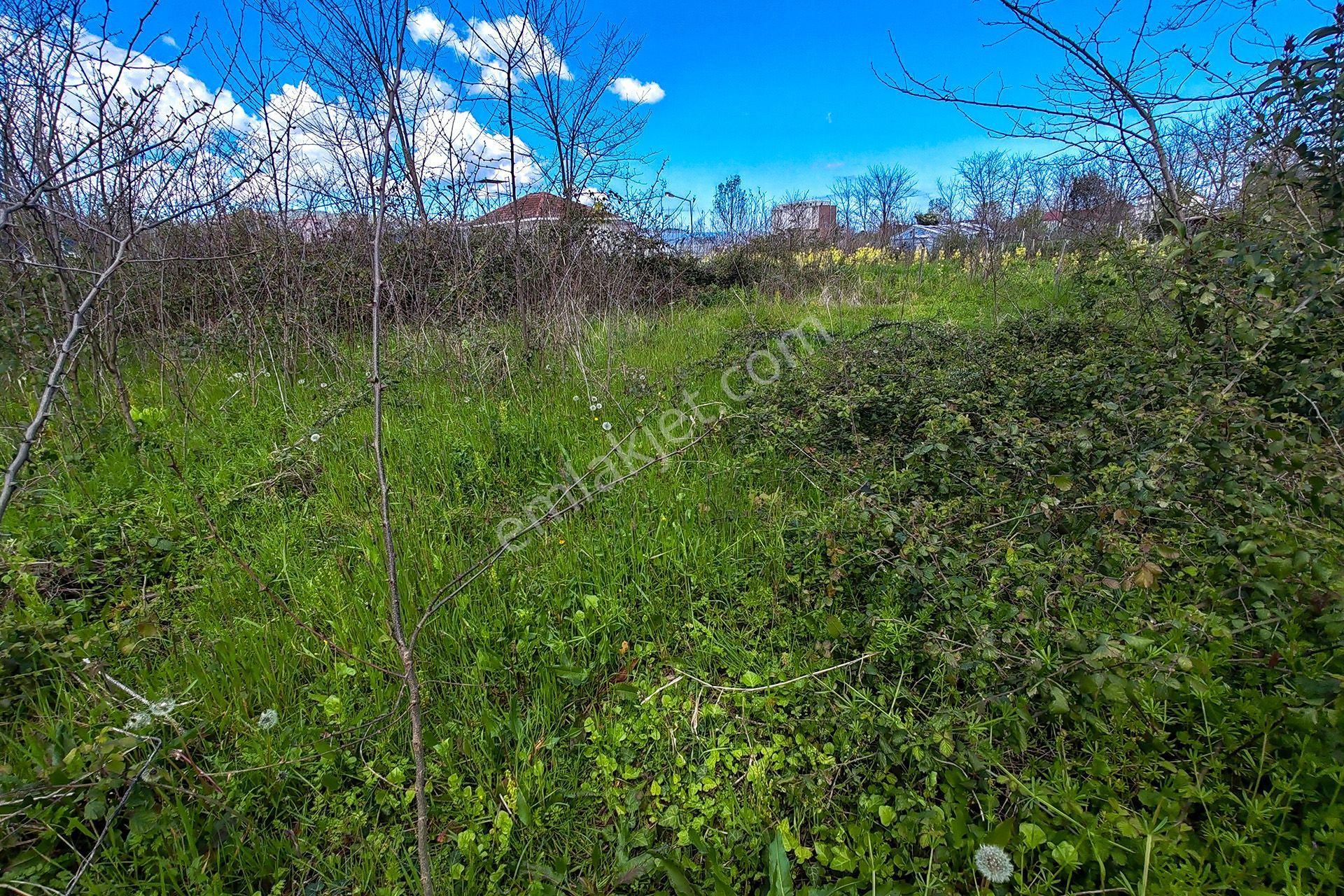 Ordu Perşembe Efirli Mah. 579m² Satılık Arsa - Konut İmarlı - Oremlaktan - Görsel 13