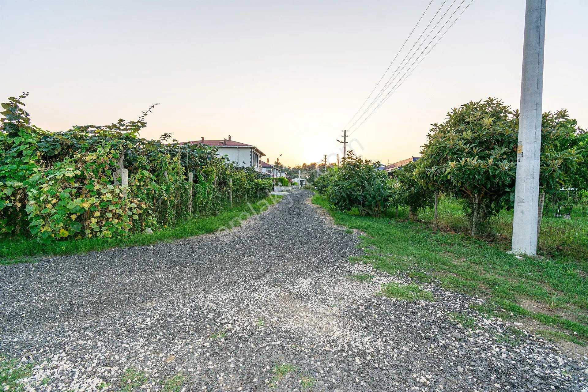 Ordu Perşembe Efirli Mah. 579m² Satılık Arsa - Konut İmarlı - Oremlaktan