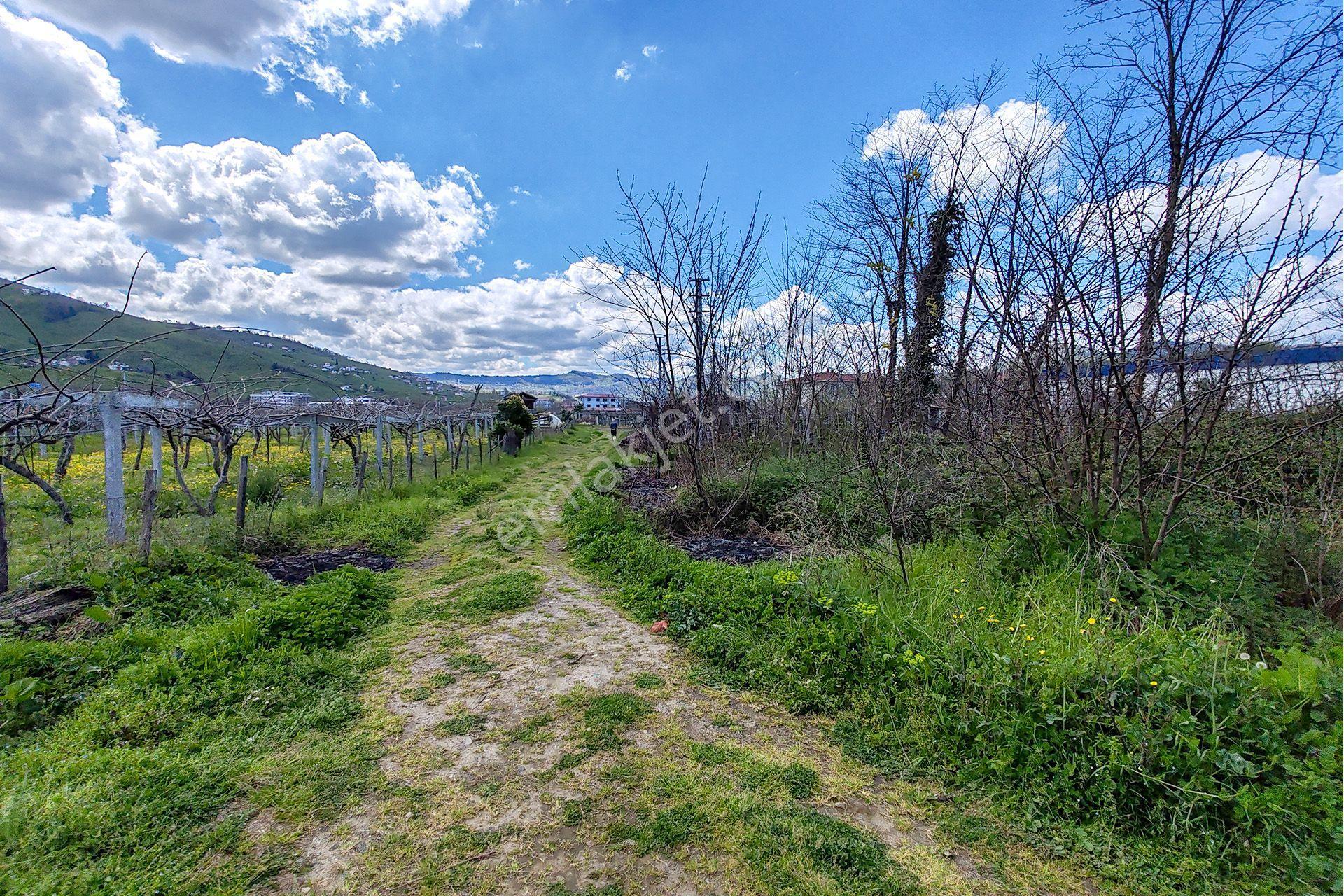 Ordu Perşembe Efirli Mah. 579m² Satılık Arsa - Konut İmarlı - Oremlaktan - Görsel 25
