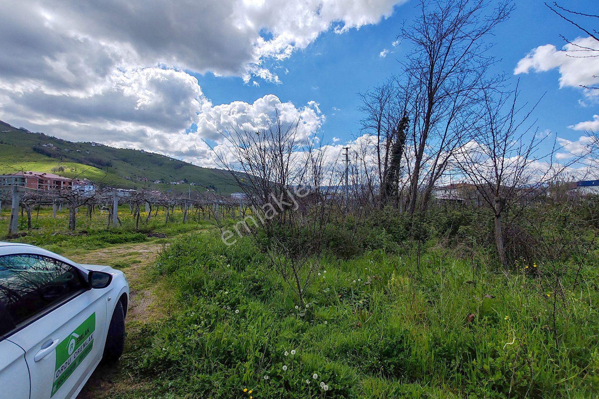 Ordu Perşembe Efirli Mah. 579m² Satılık Arsa - Konut İmarlı - Oremlaktan - Görsel 21