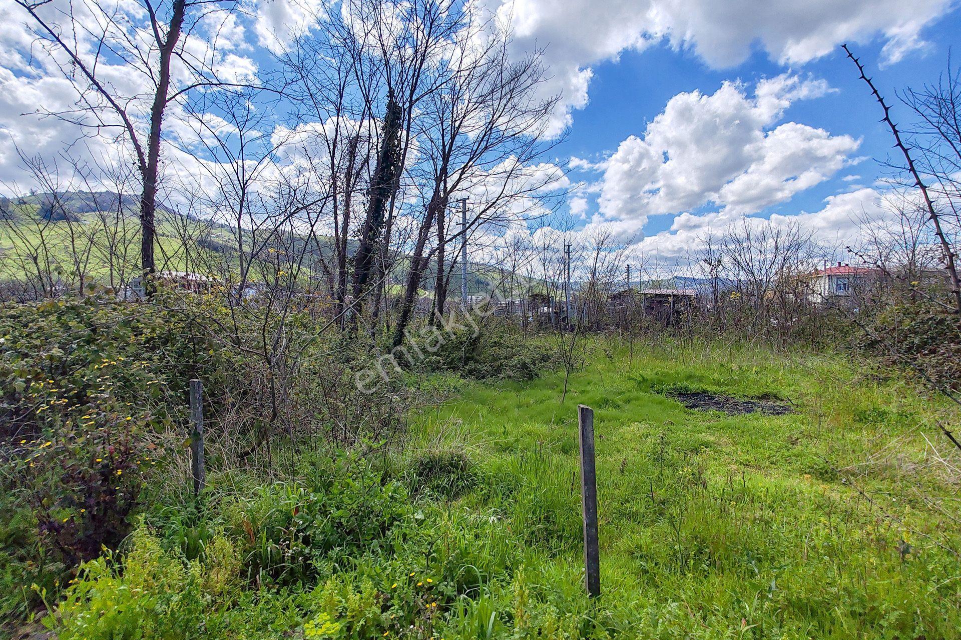 Ordu Perşembe Efirli Mah. 579m² Satılık Arsa - Konut İmarlı - Oremlaktan - Görsel 6