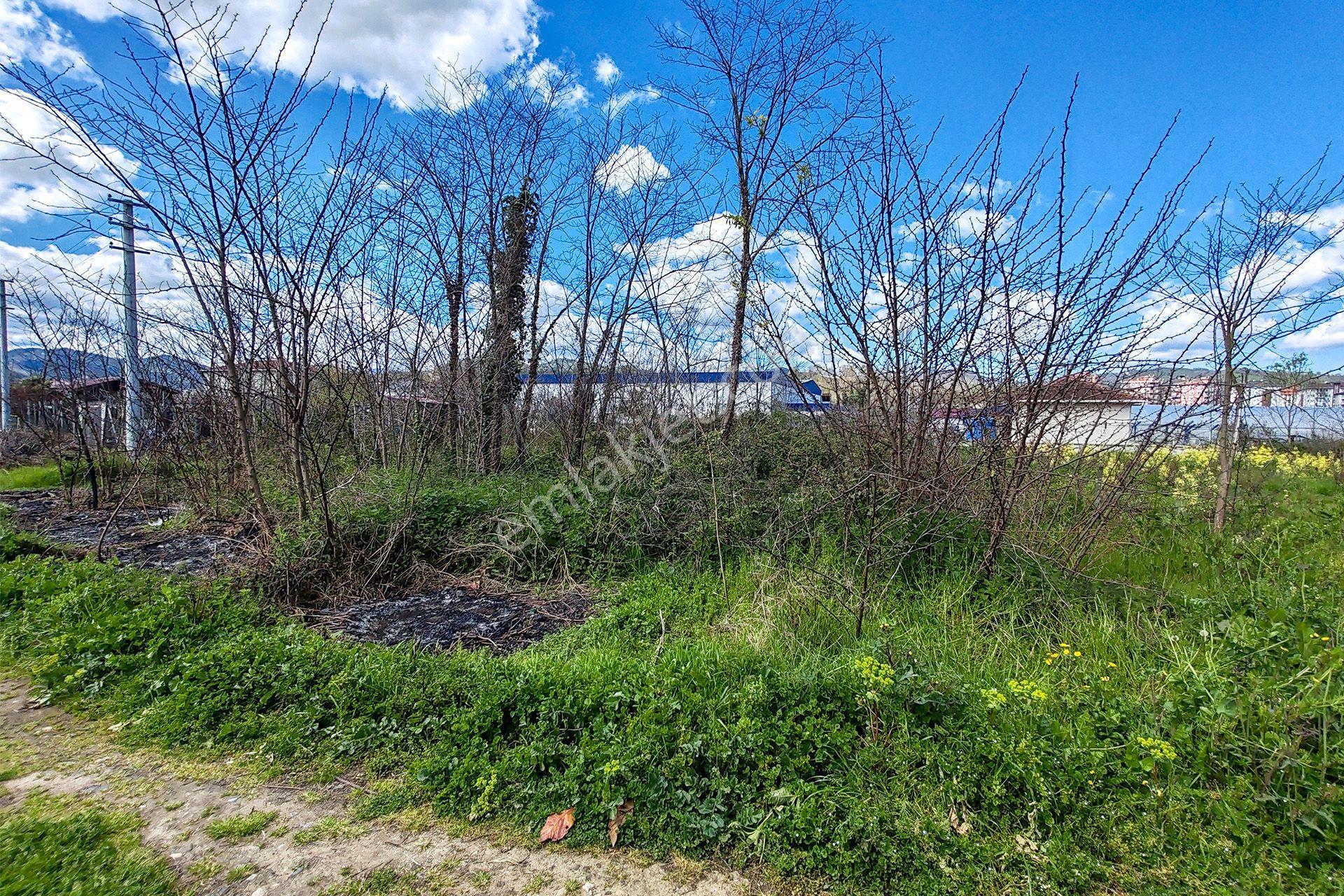Ordu Perşembe Efirli Mah. 579m² Satılık Arsa - Konut İmarlı - Oremlaktan - Görsel 26
