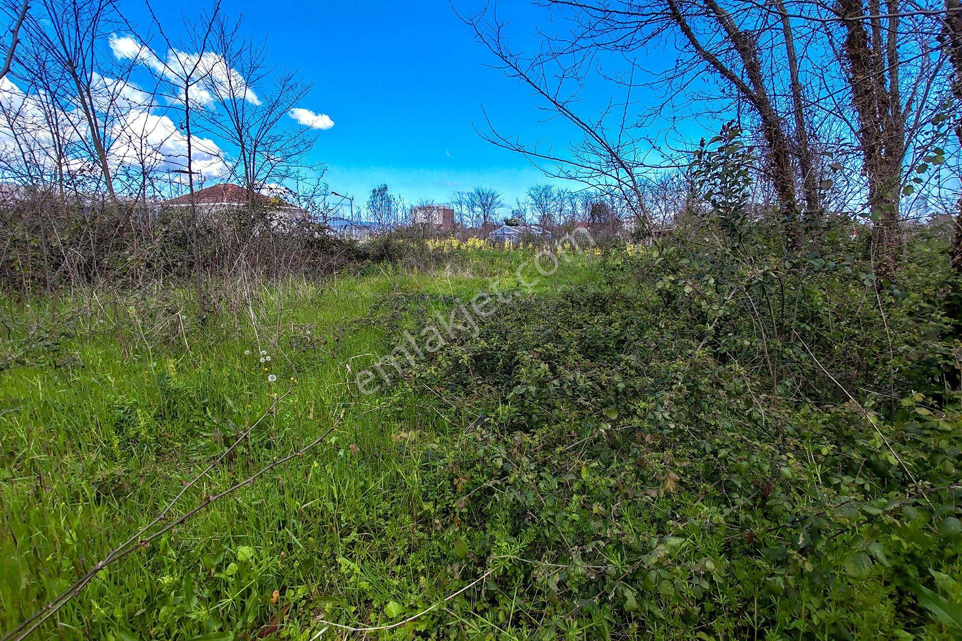 Ordu Perşembe Efirli Mah. 579m² Satılık Arsa - Konut İmarlı - Oremlaktan - Görsel 15