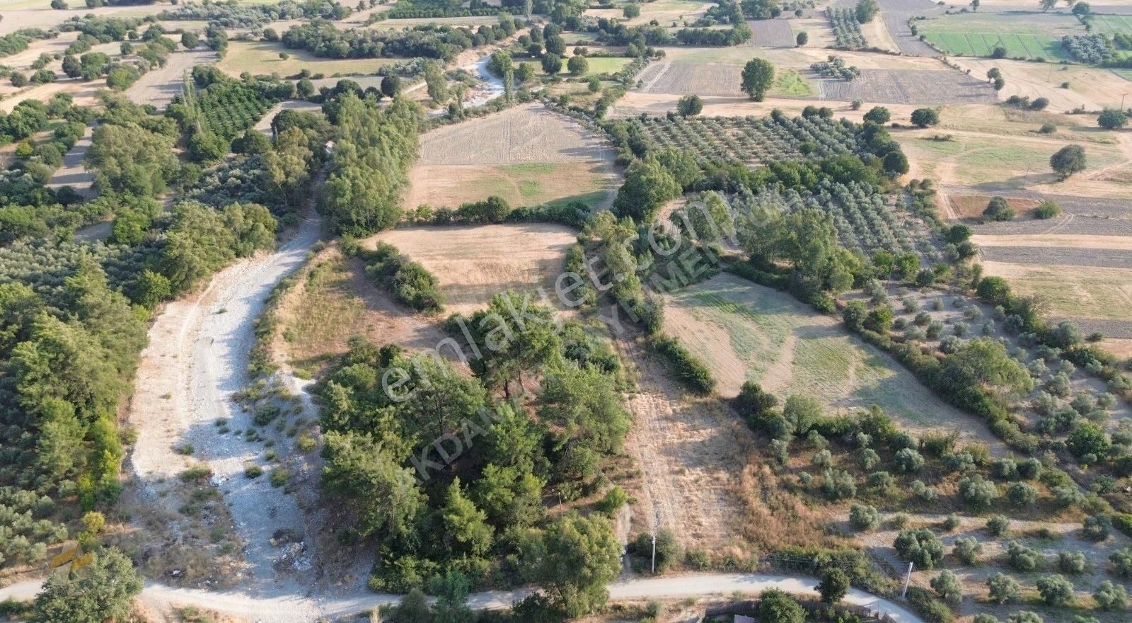 Muğla Ula Karabörtlen Mahallesinde Satılık Tarla - Görsel 7