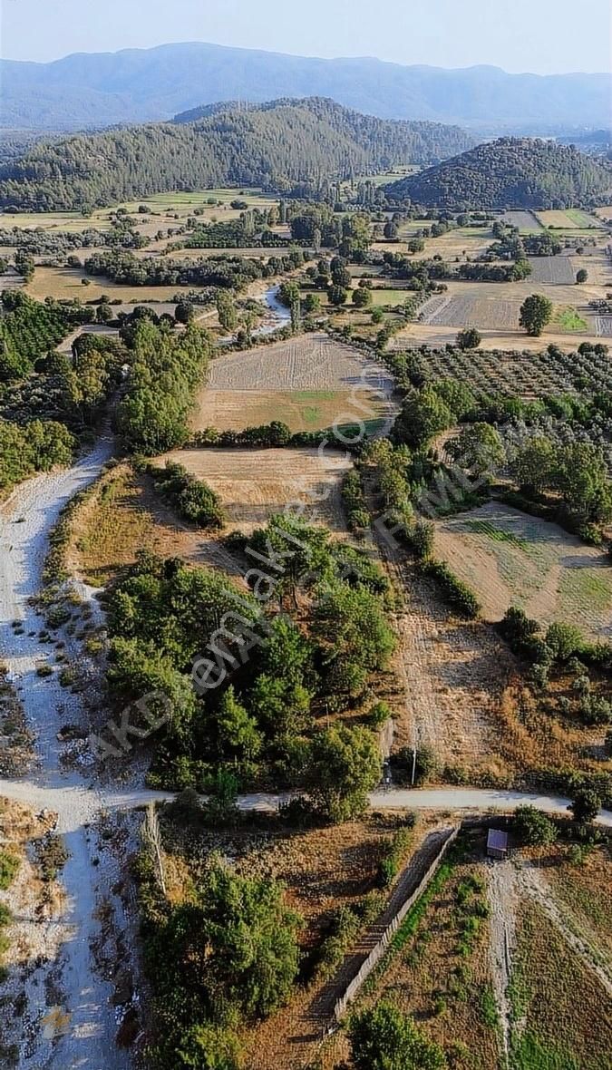 Muğla Ula Karabörtlen Mahallesinde Satılık Tarla - Görsel 6
