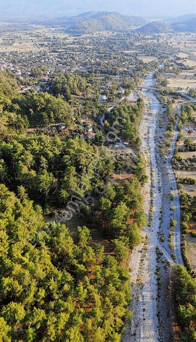 Muğla Ula Karabörtlen Mahallesi Satılık 7629m2 Tarla - Görsel 10