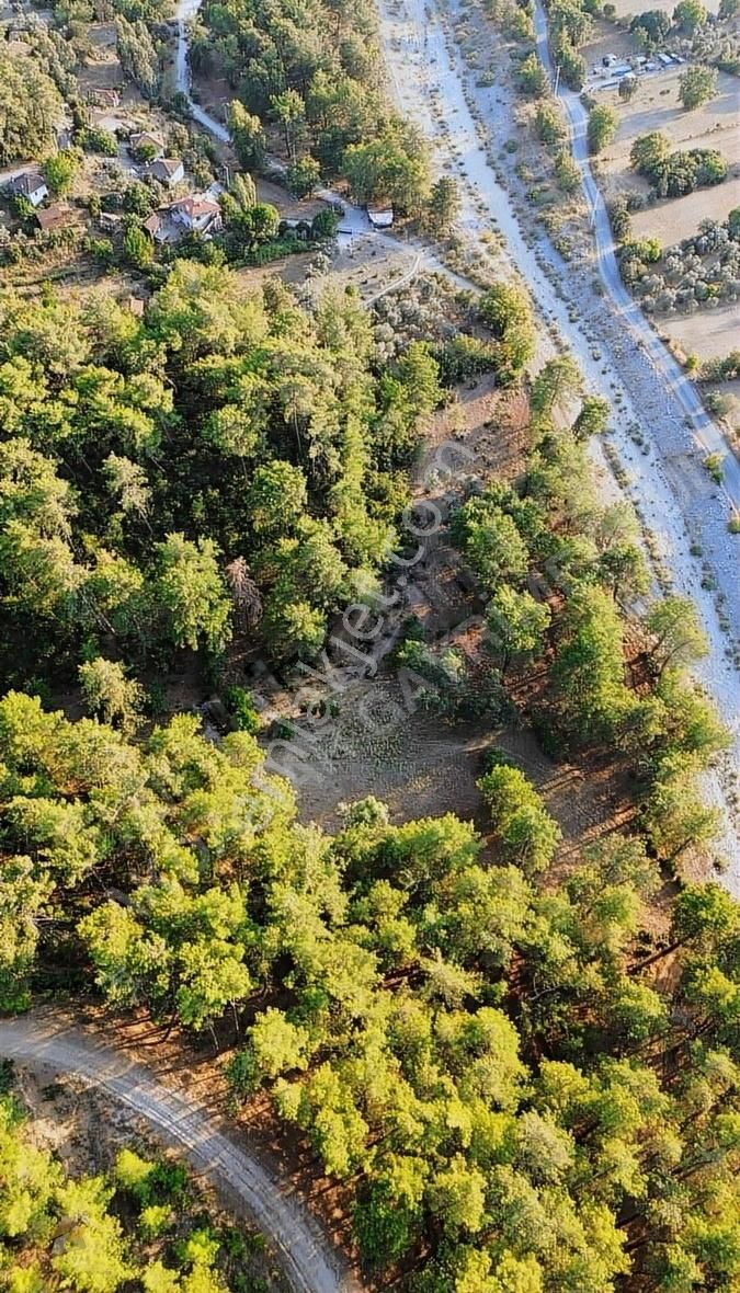 Muğla Ula Karabörtlen Mahallesi Satılık 7629m2 Tarla - Görsel 6