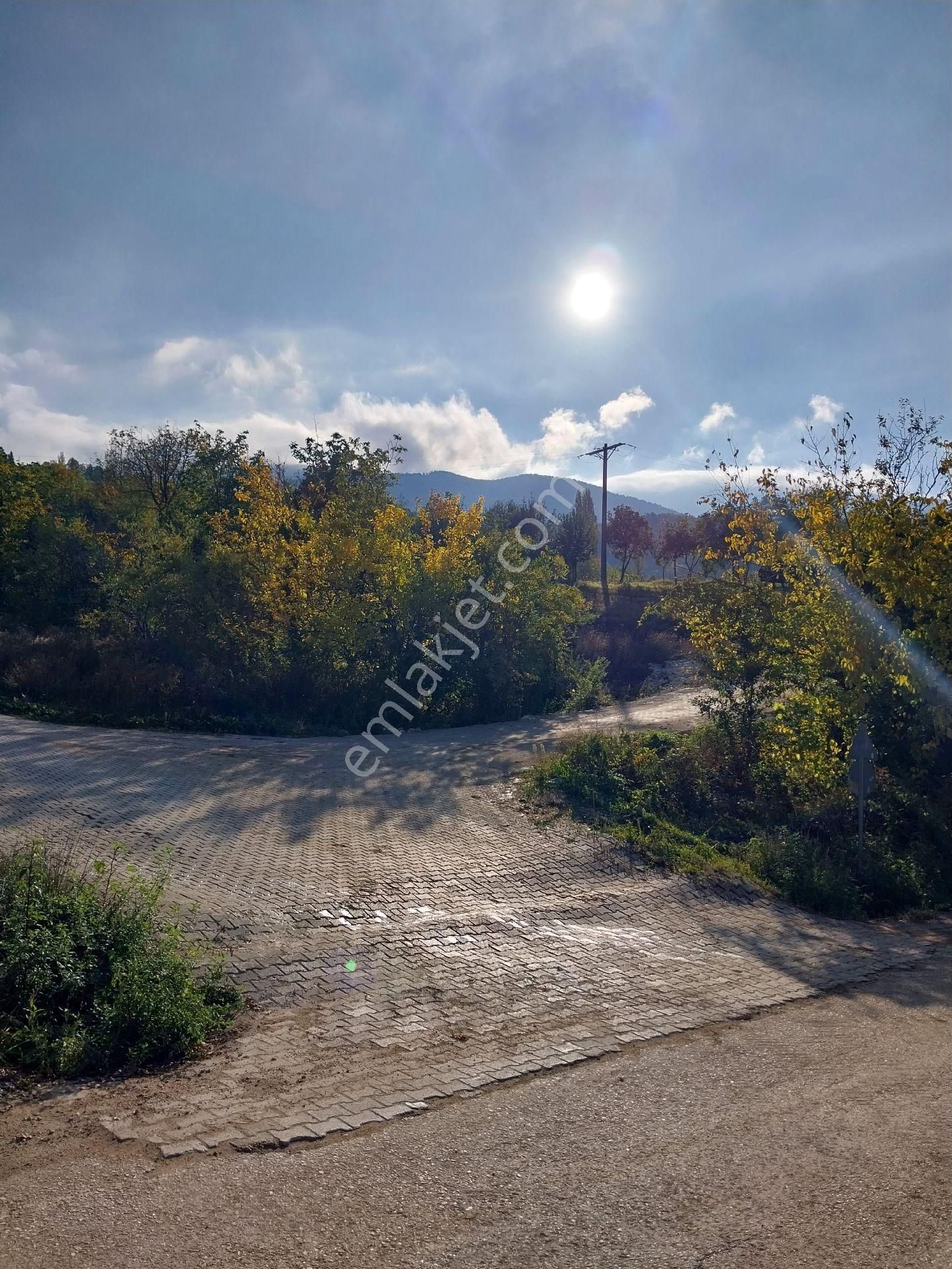 Kestel Orhaniye'de Satılık Anayolla Cephe Kıymetli Satılık Arazi - Görsel 7