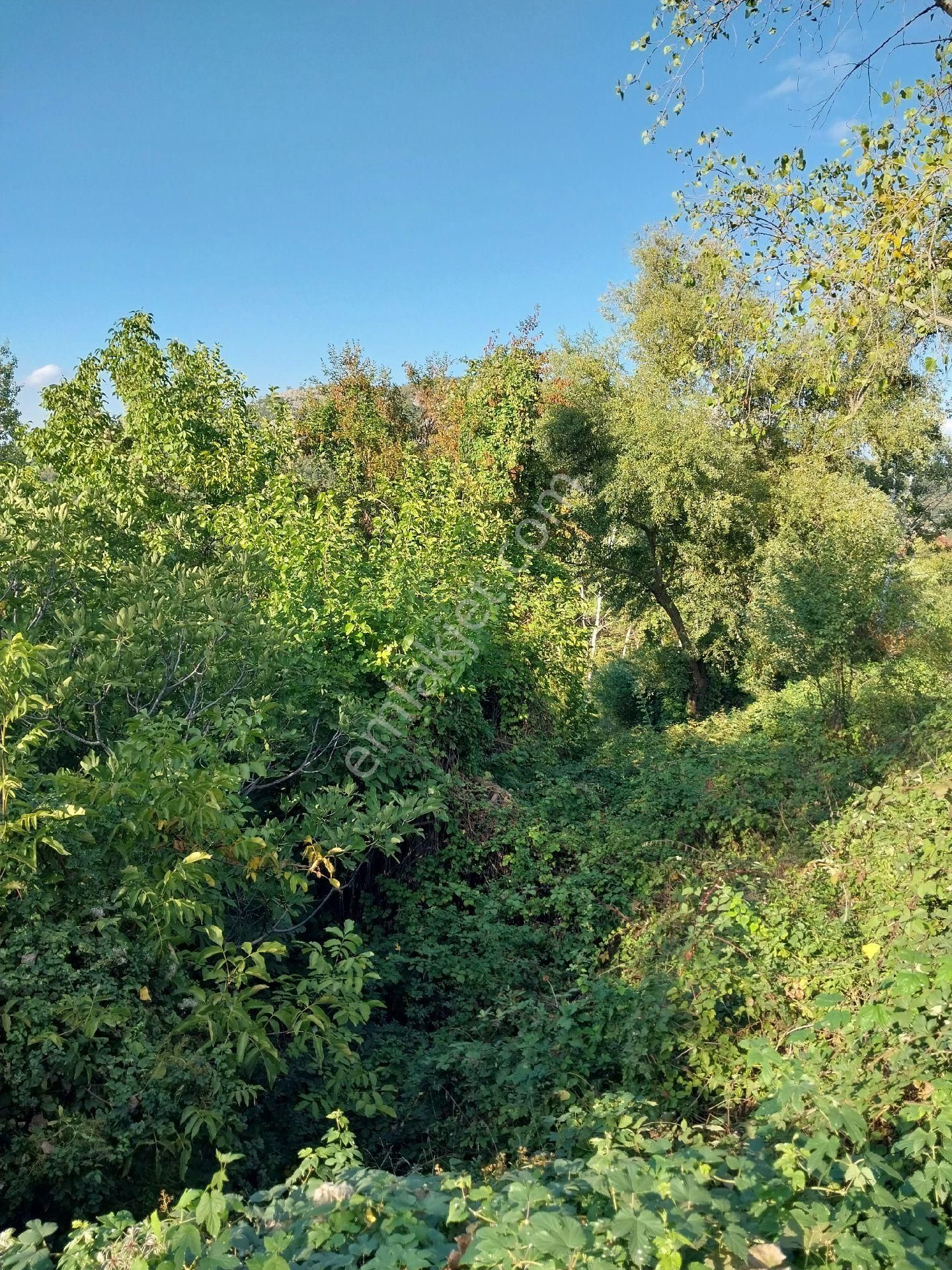 Kestel Orhaniye'de Satılık Anayolla Cephe Kıymetli Satılık Arazi - Görsel 3