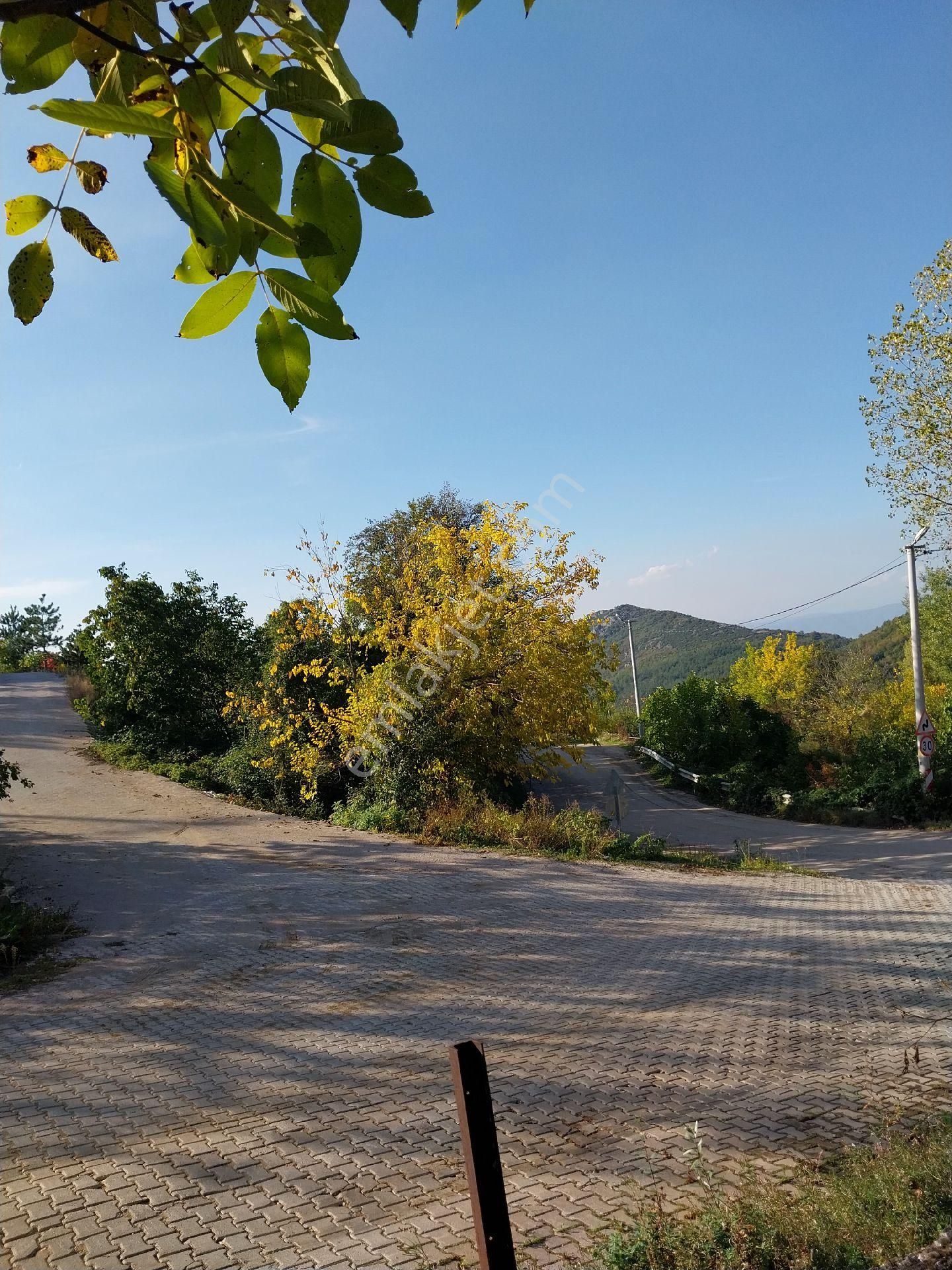 Kestel Orhaniye'de Satılık Anayolla Cephe Kıymetli Satılık Arazi - Görsel 8