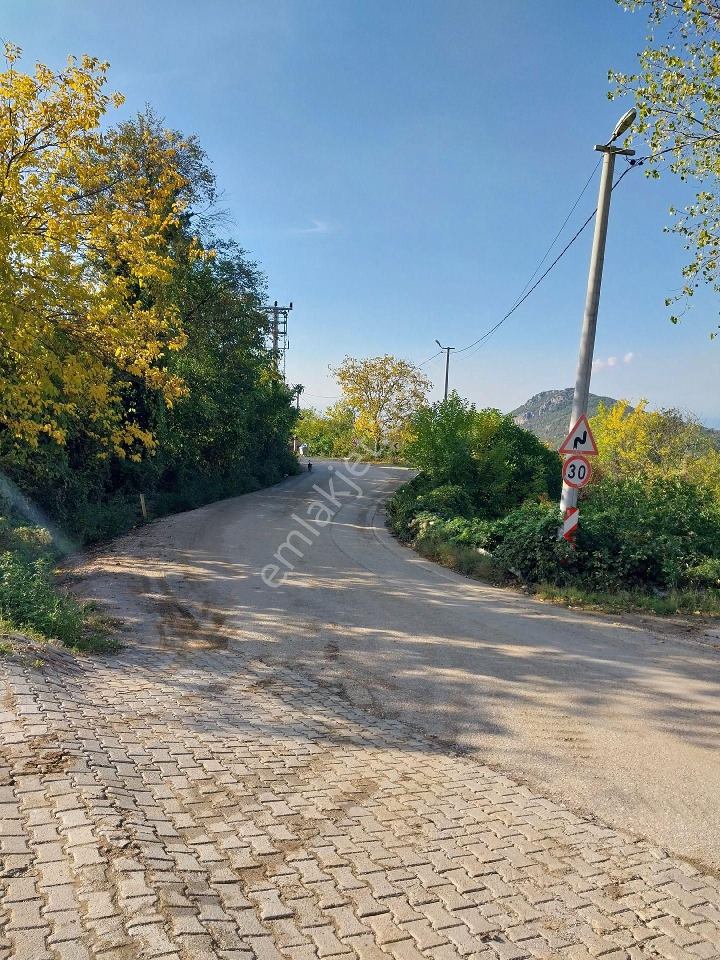 Kestel Orhaniye'de Satılık Anayolla Cephe Kıymetli Satılık Arazi - Görsel 2