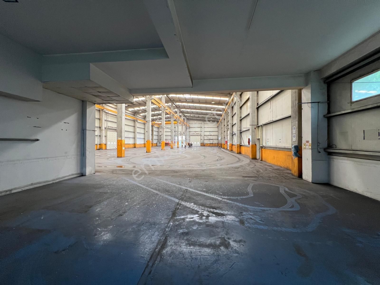 Dilovası İmes Osb'de 3000 M2+630 Kwa+çift Vinç+kdv Avantajlı Kiralık Fabrika - Görsel 11