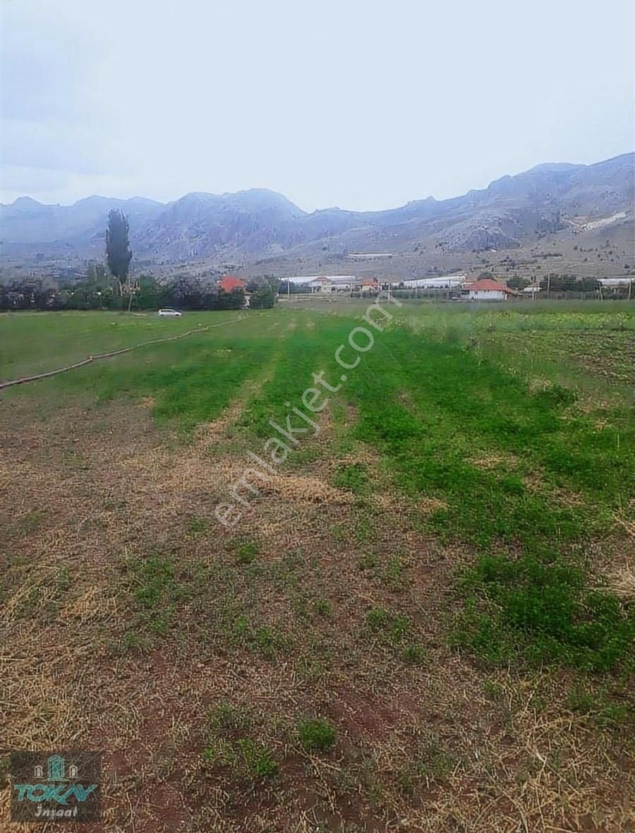 Korkuteli Kozağacında Satılık Tarla Sera Yeri - Görsel 6