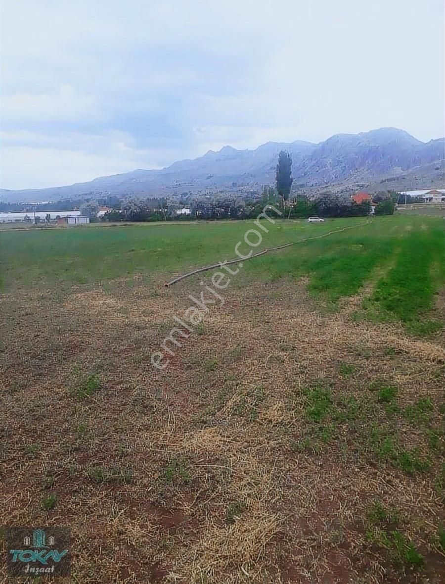 Korkuteli Kozağacında Satılık Tarla Sera Yeri