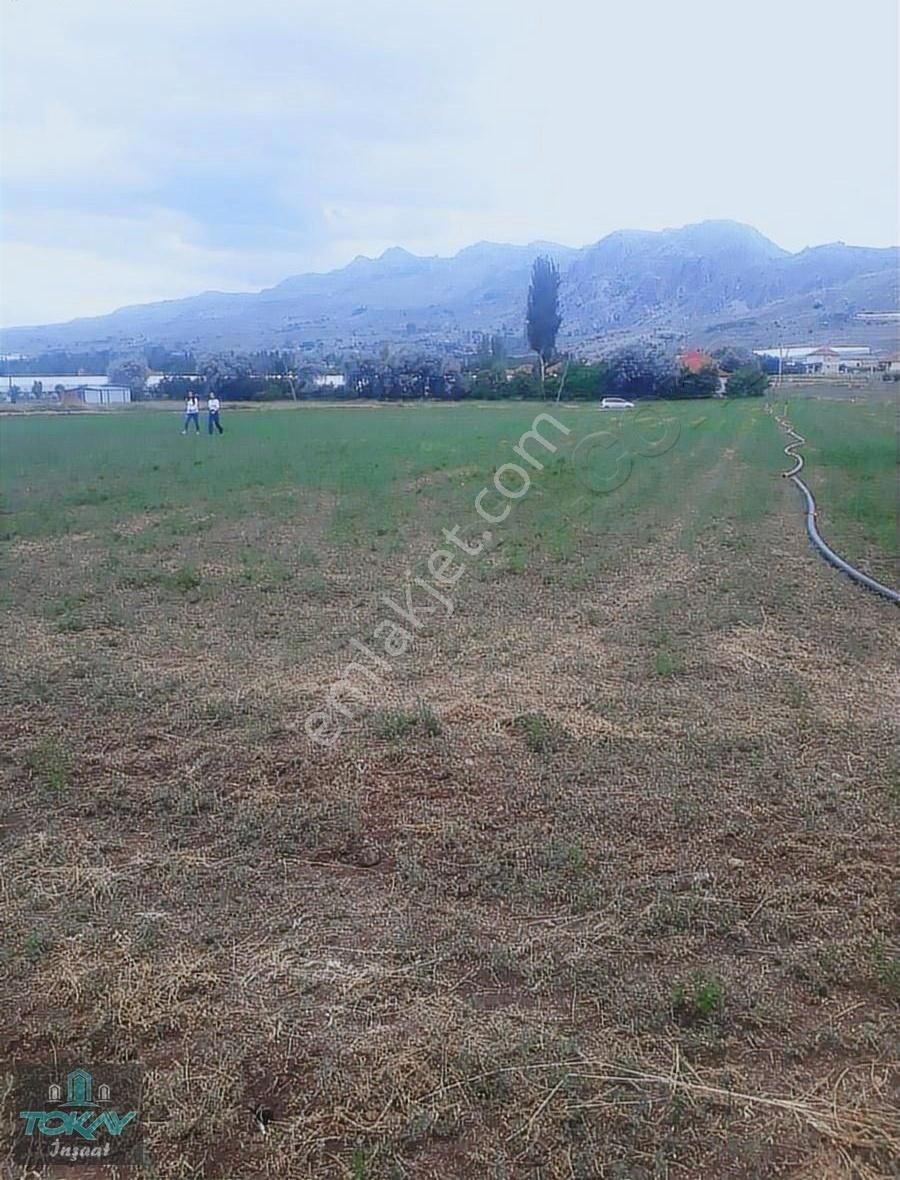 Korkuteli Kozağacında Satılık Tarla Sera Yeri - Görsel 7